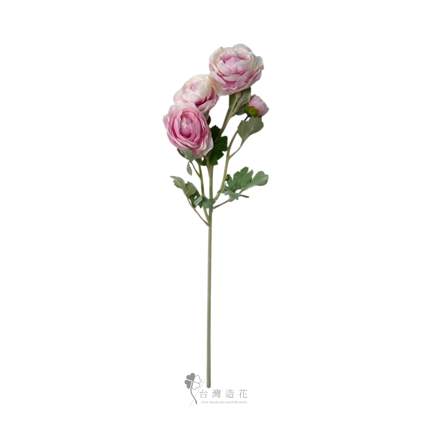 單支陸蓮(淺粉)