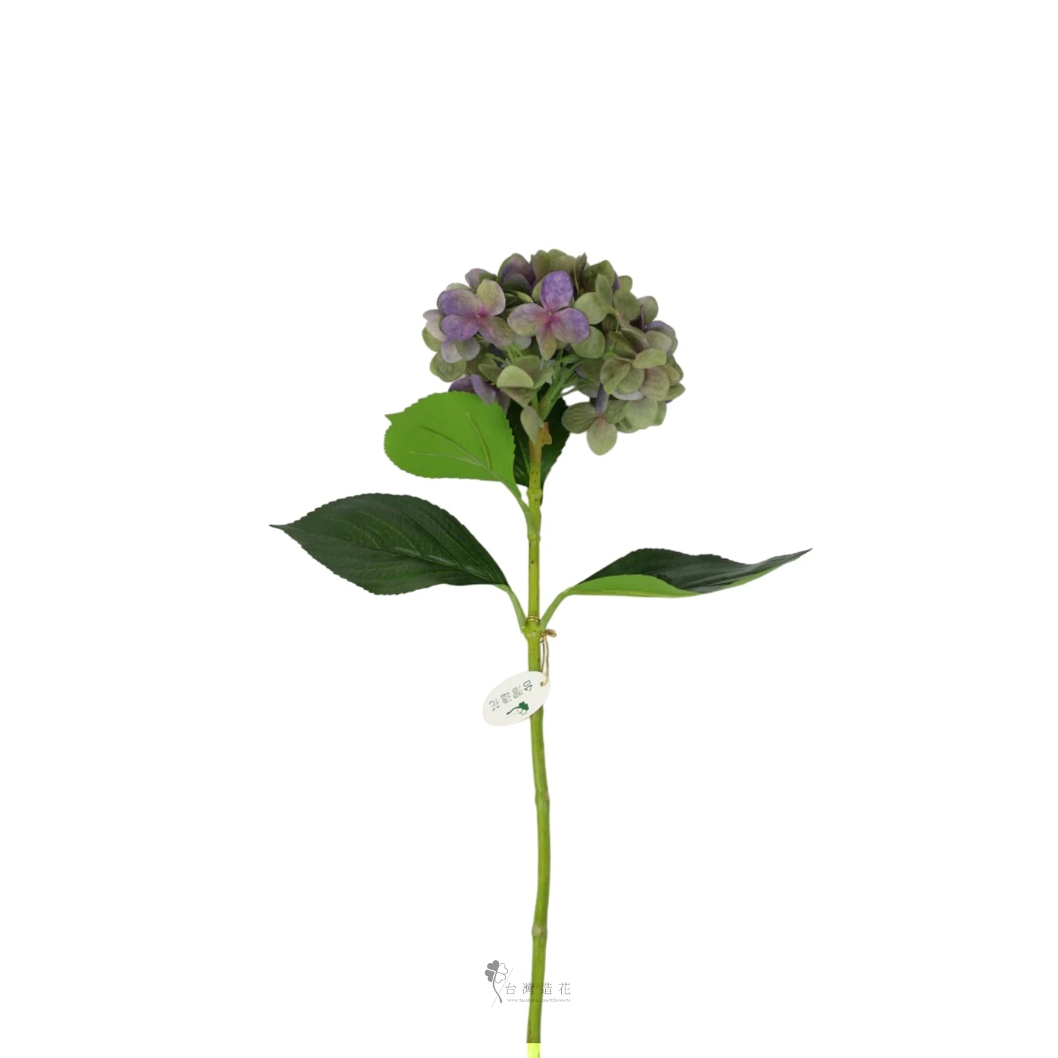 D繡球花(綠)