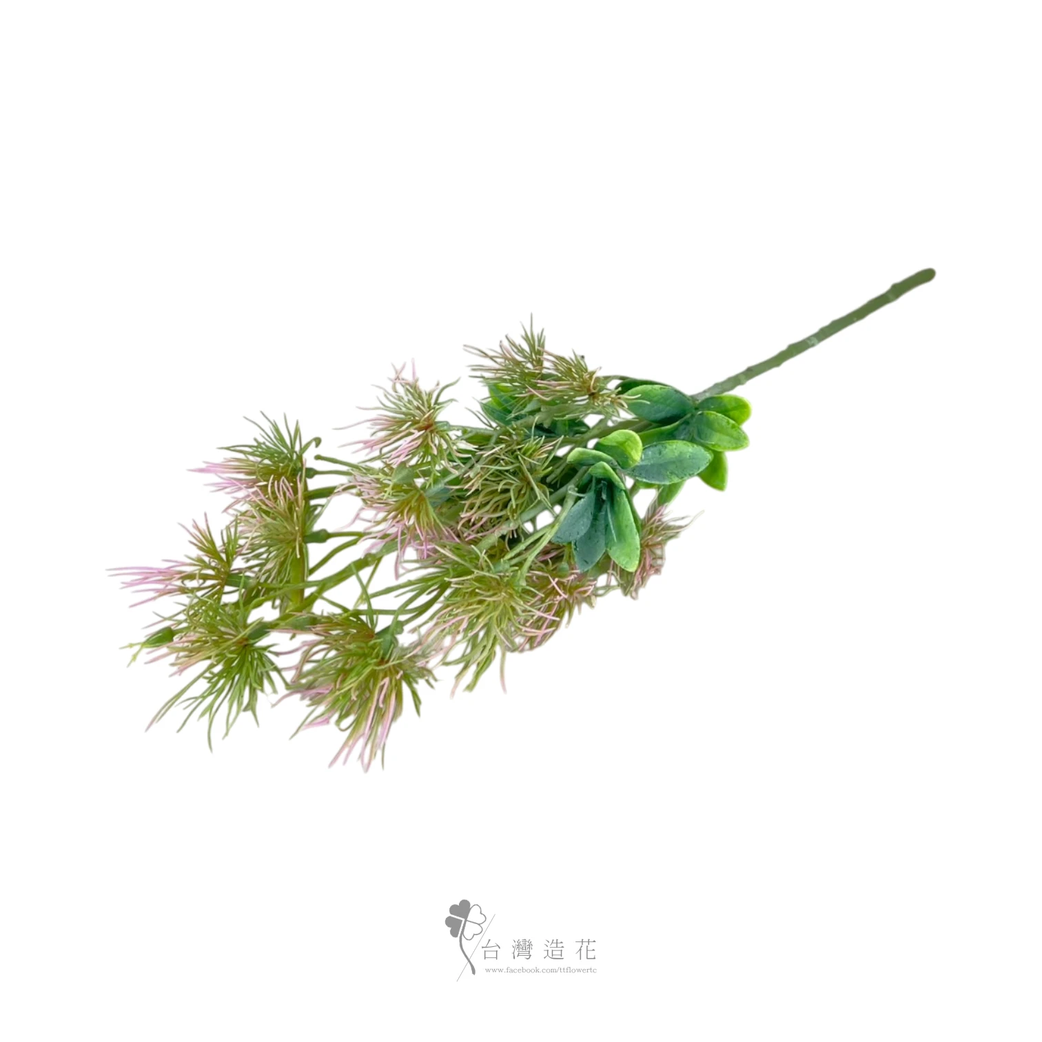 單支地羅花(紫)