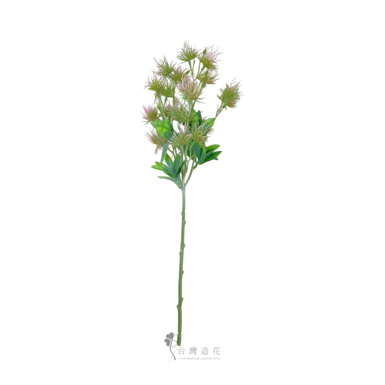 單支地羅花(紫)