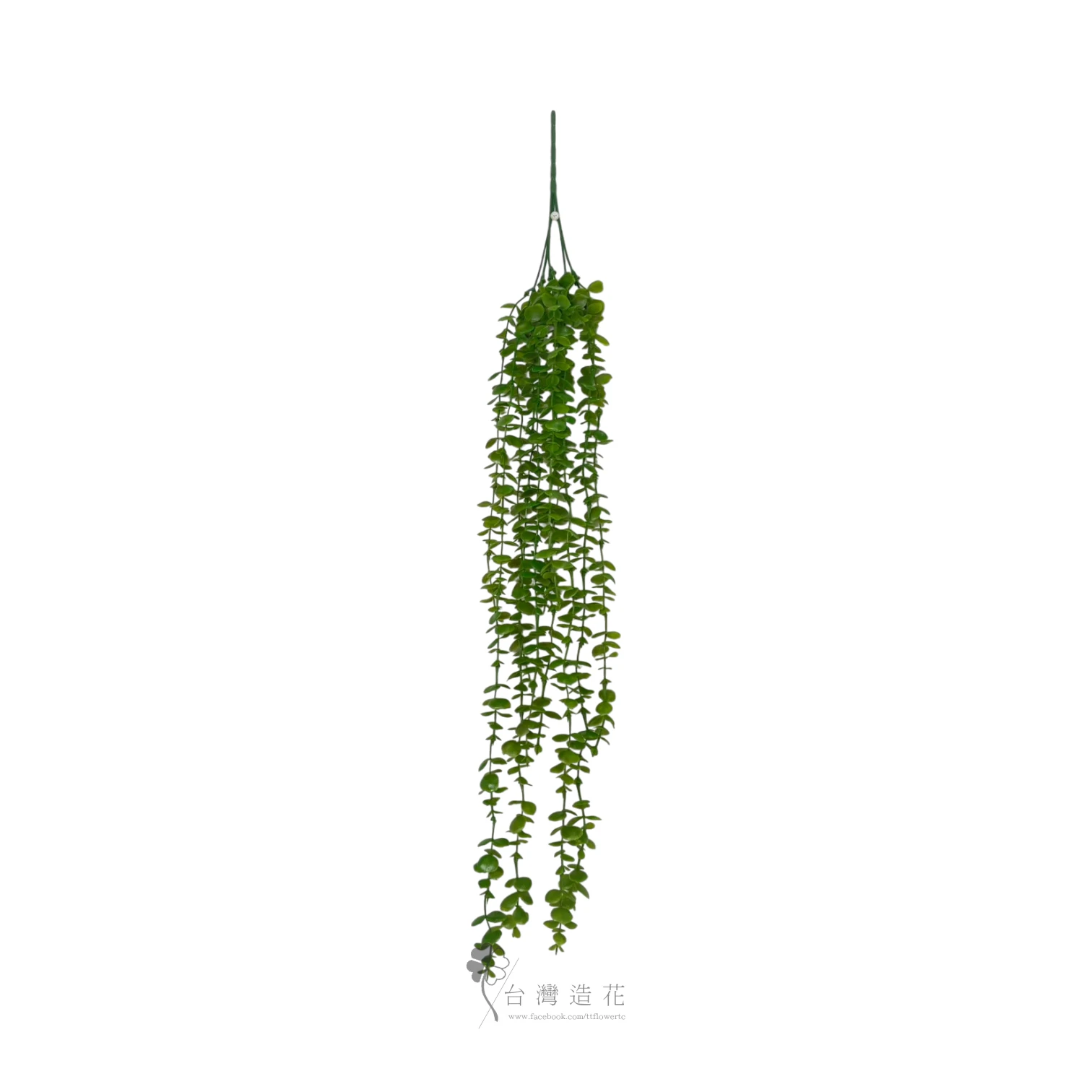 尤加利藤(深綠)