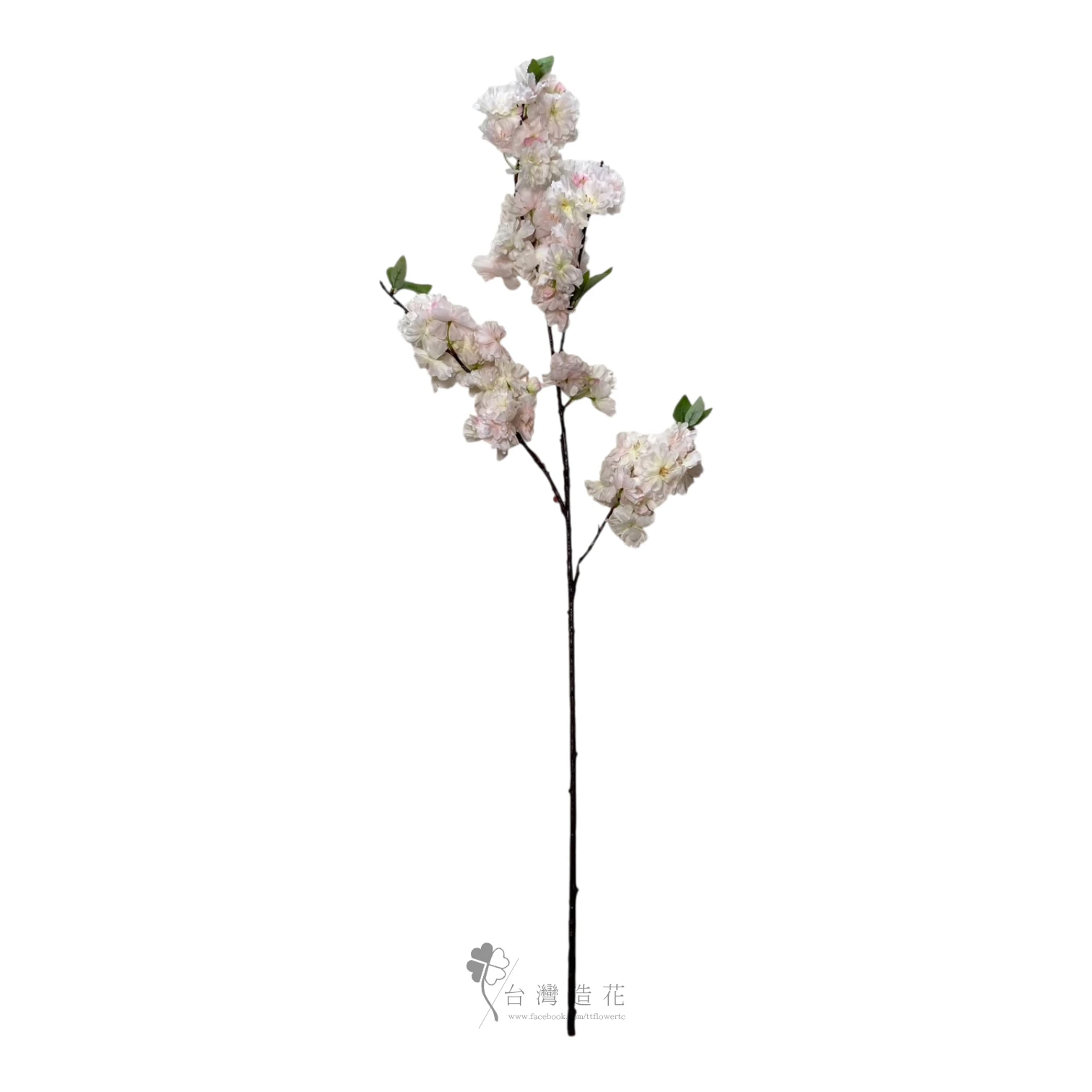 海棠櫻花(淺粉)