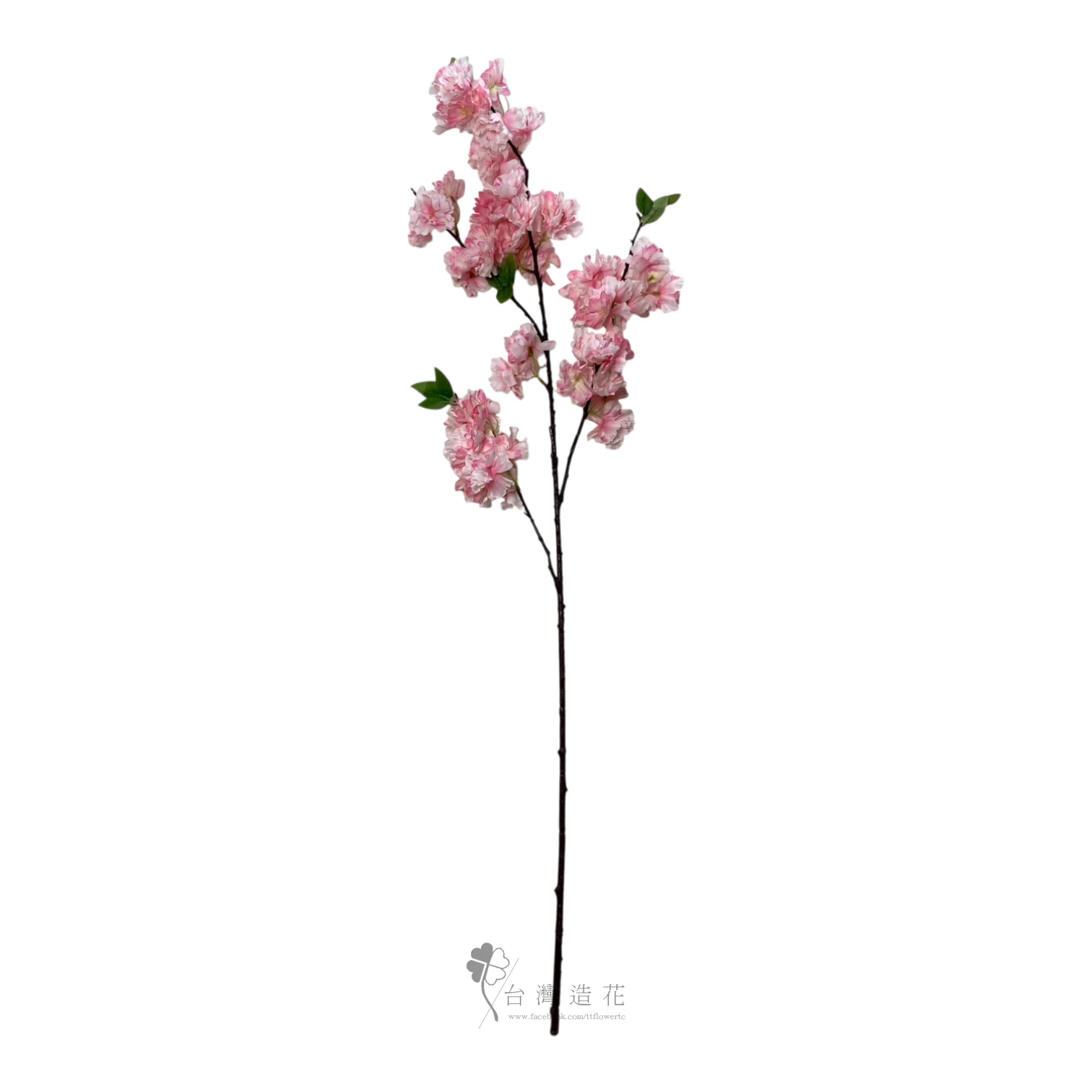 海棠櫻花(深粉)