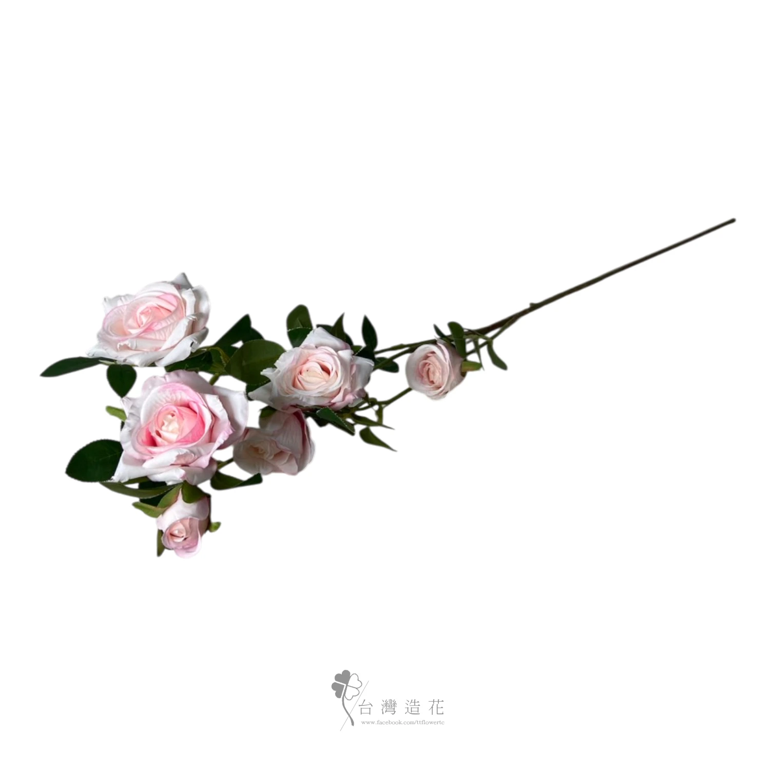 六朵薔薇(粉)