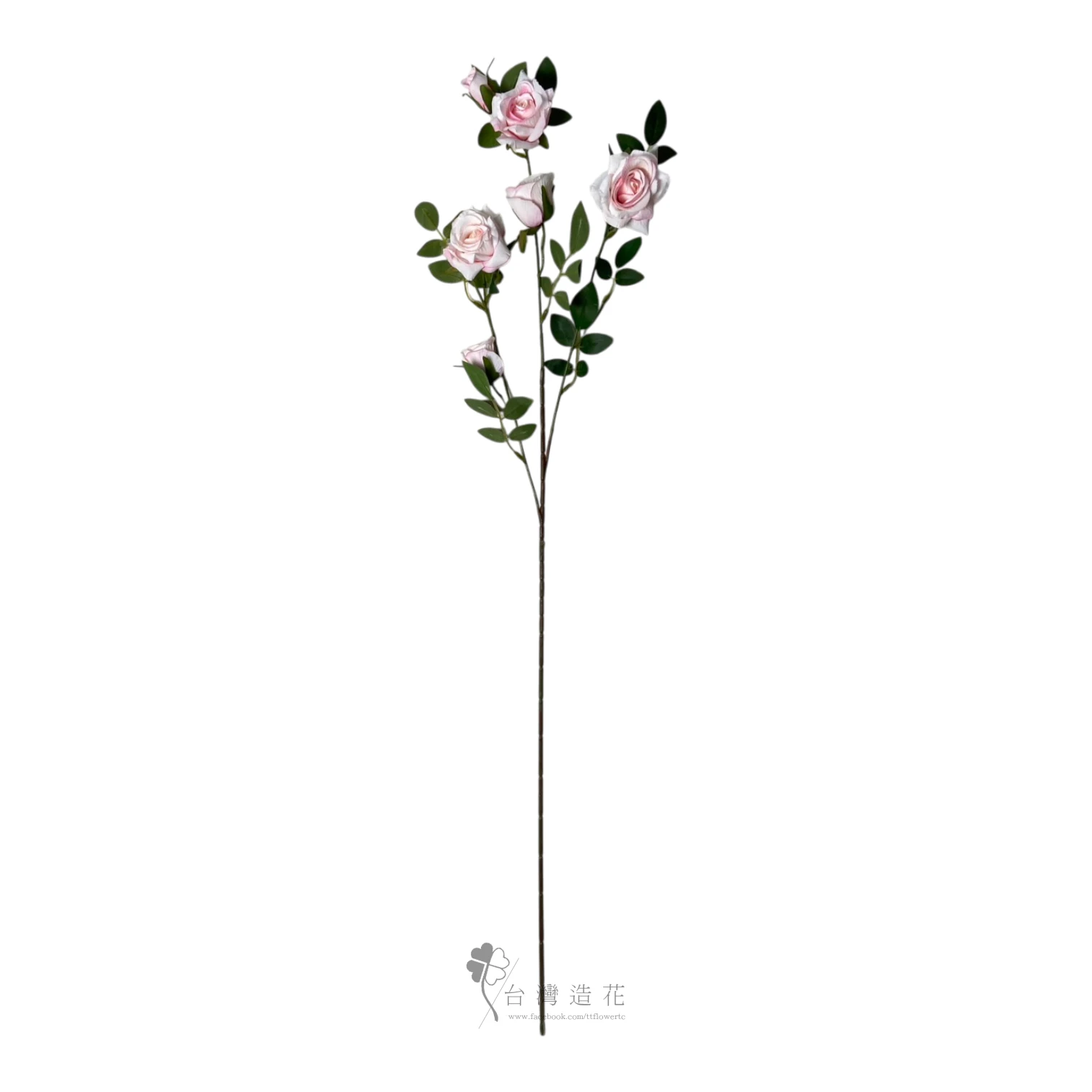 六朵薔薇(粉)