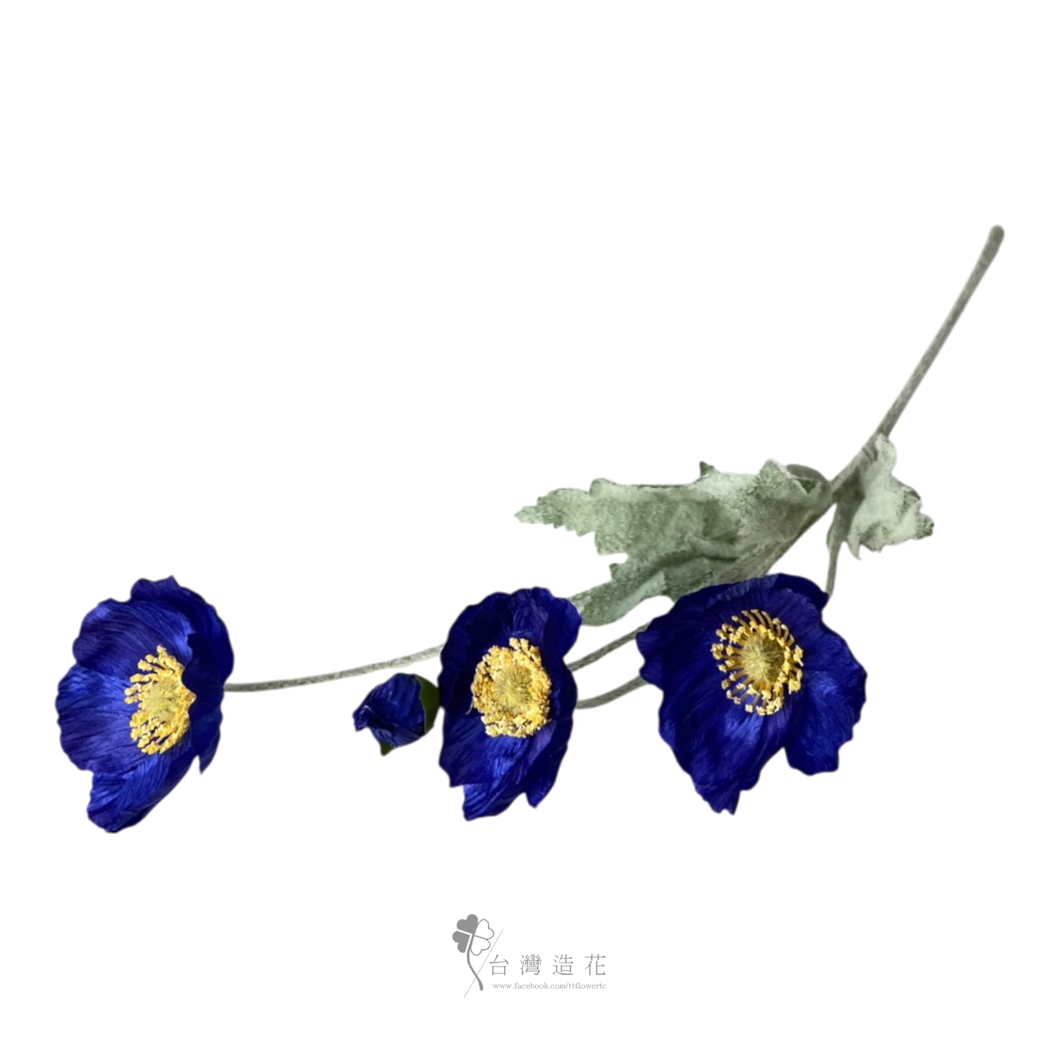 小虞美人(深藍)