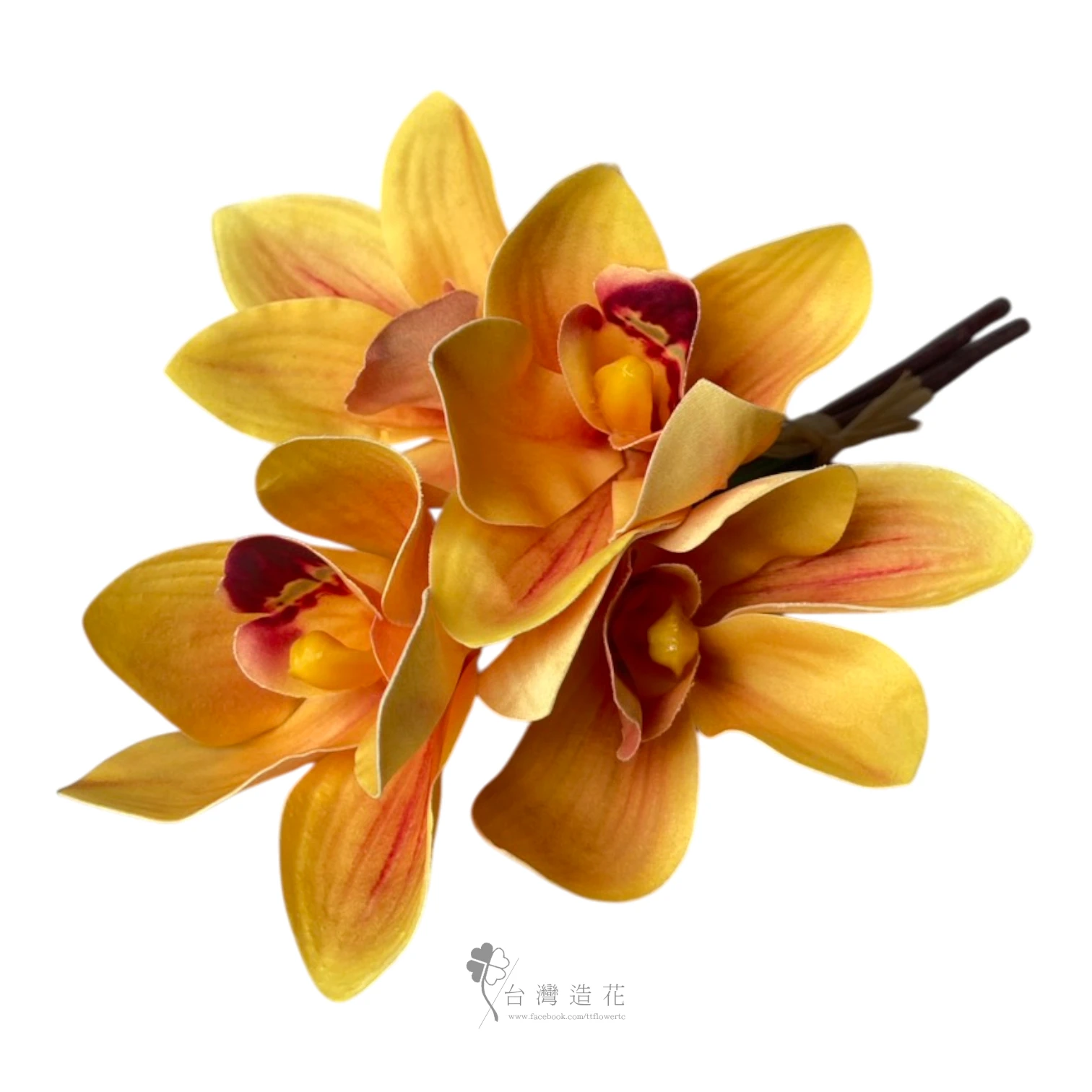 手捧蕙蘭(黃)