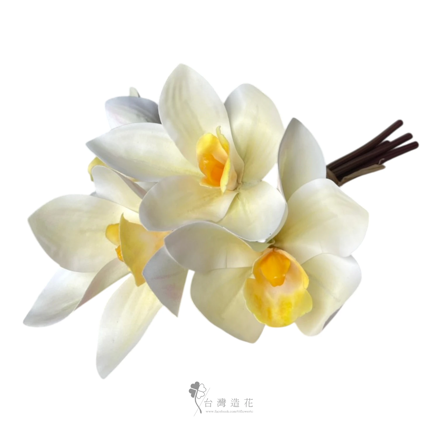 手捧蕙蘭(米白)