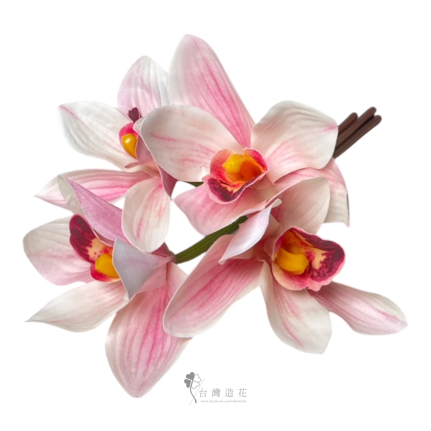 手捧蕙蘭(淺粉)