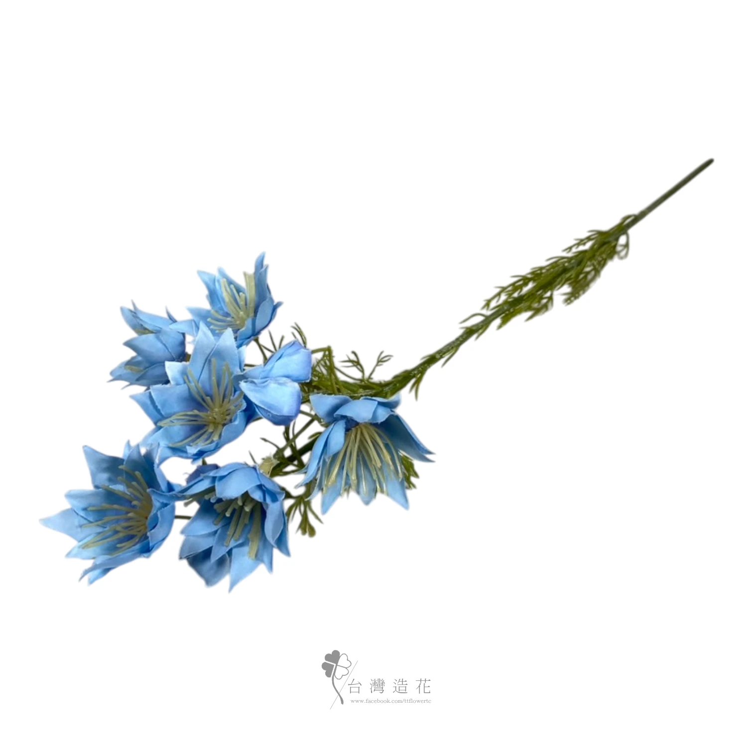 A新娘花(藍)