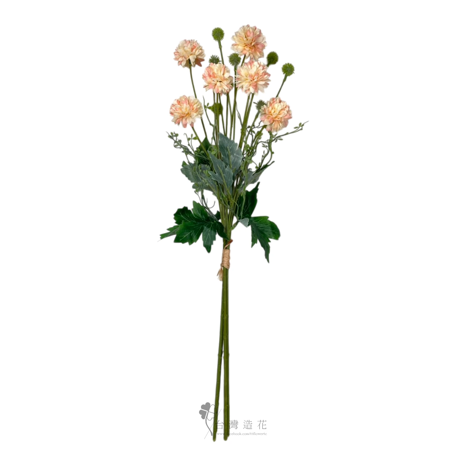 手扎球菊(橘)