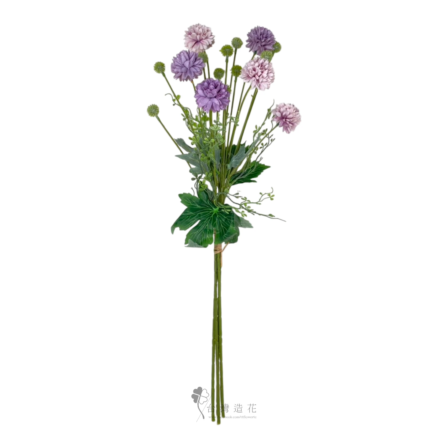 手扎球菊(紫)