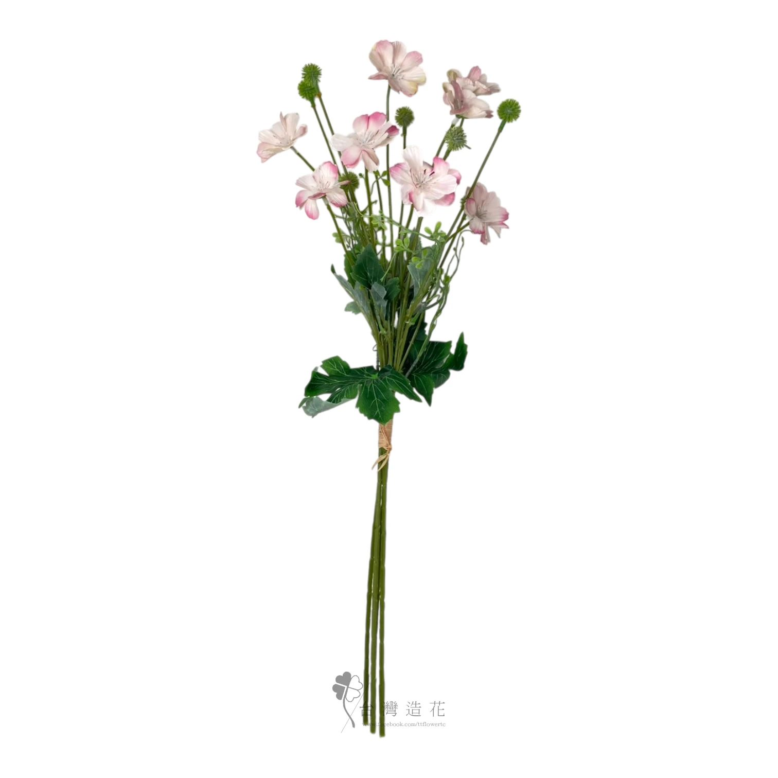 石竹花(粉)
