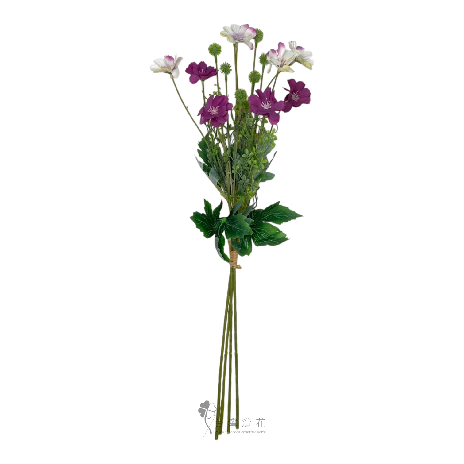石竹花(紫)