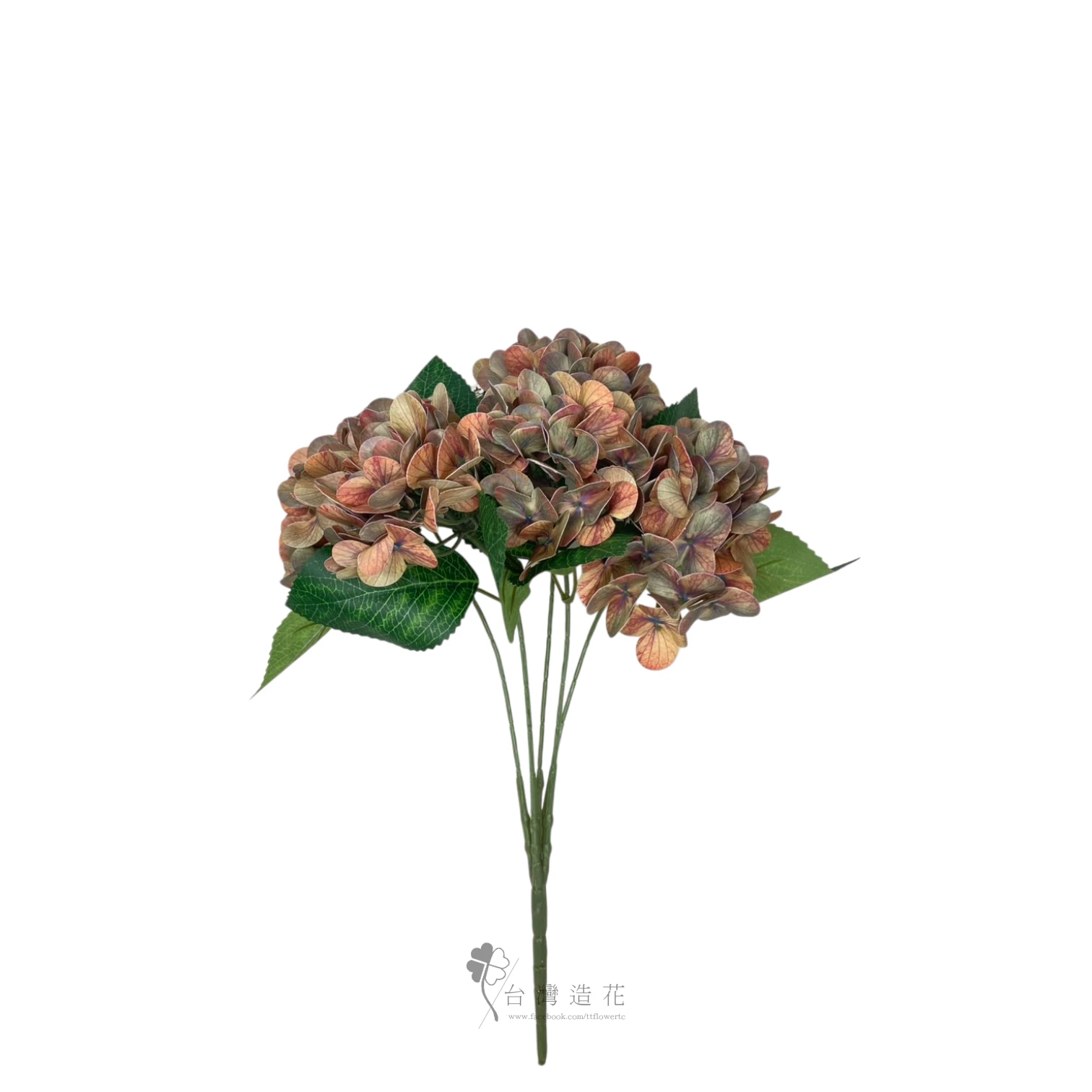 油畫繡球花束(咖啡)
