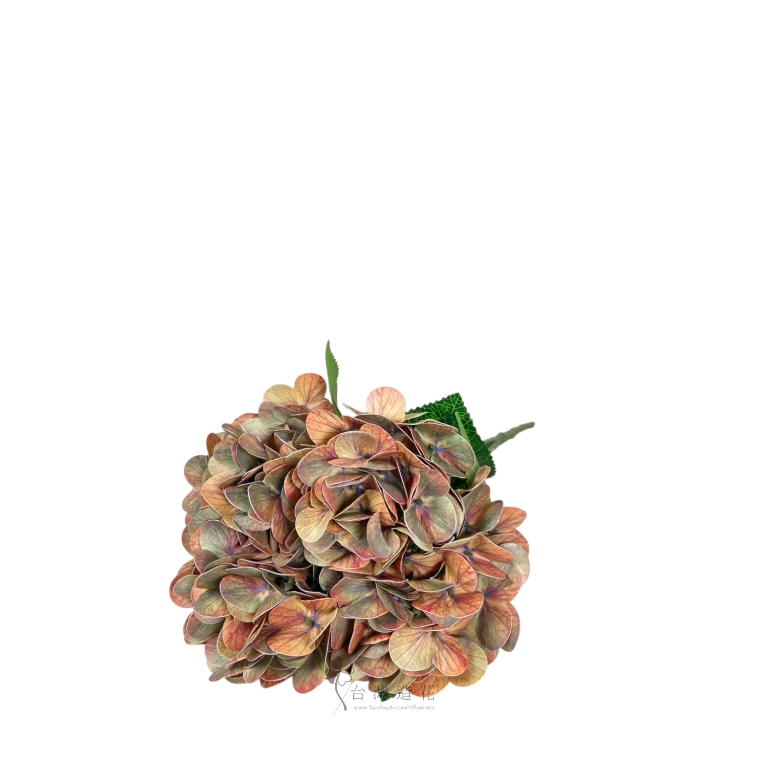 油畫繡球花束(咖啡)