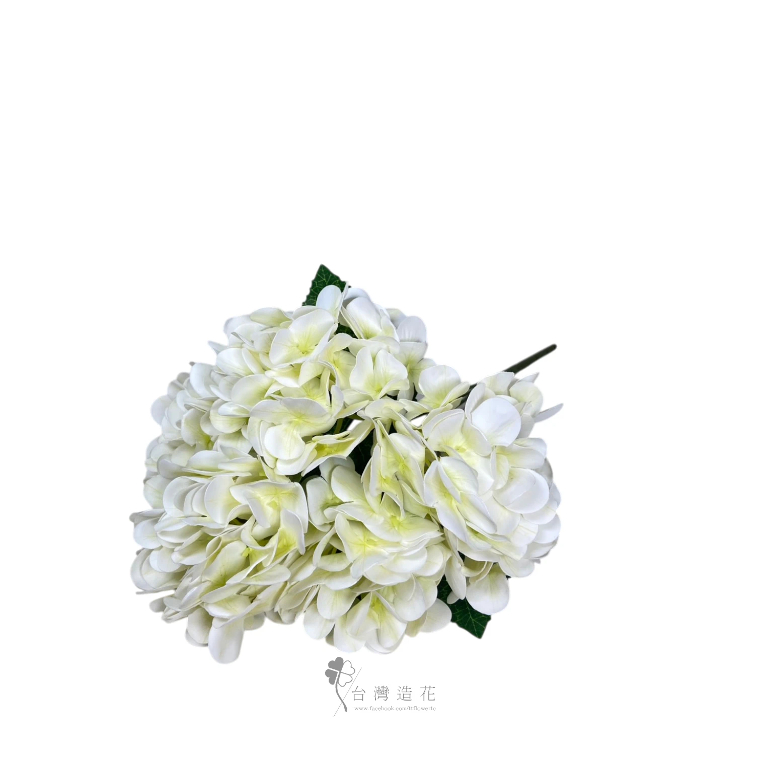油畫繡球花束(米白)