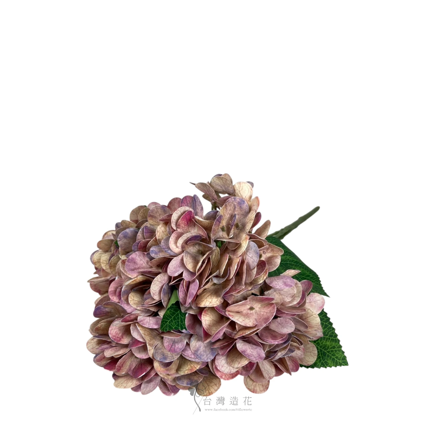 油畫繡球花束(淺豆沙)