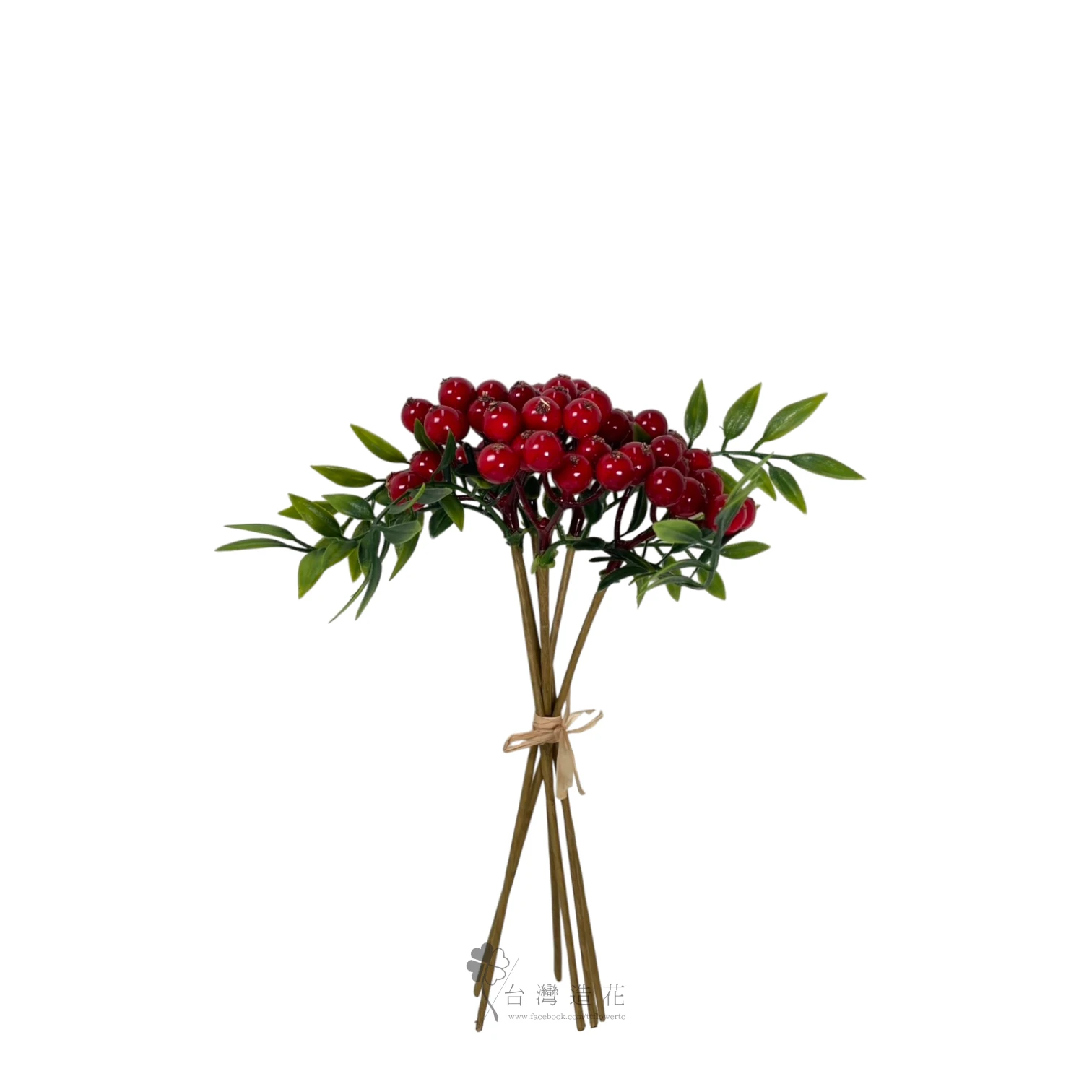 小紅果(紅)