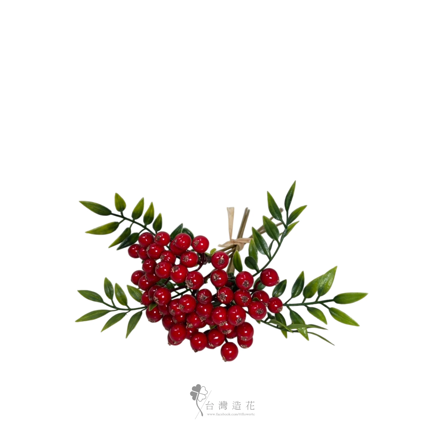 小紅果(紅)