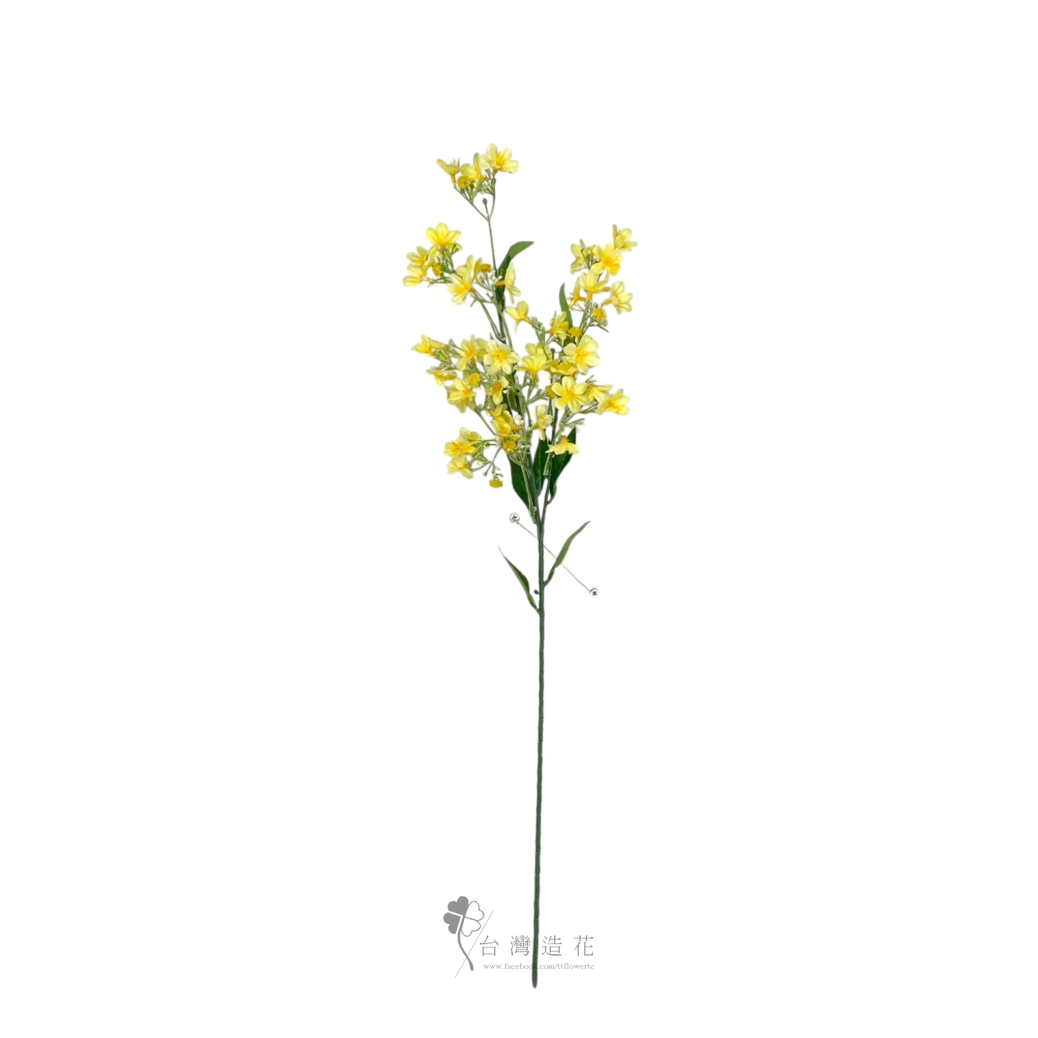 露薇花(黃)