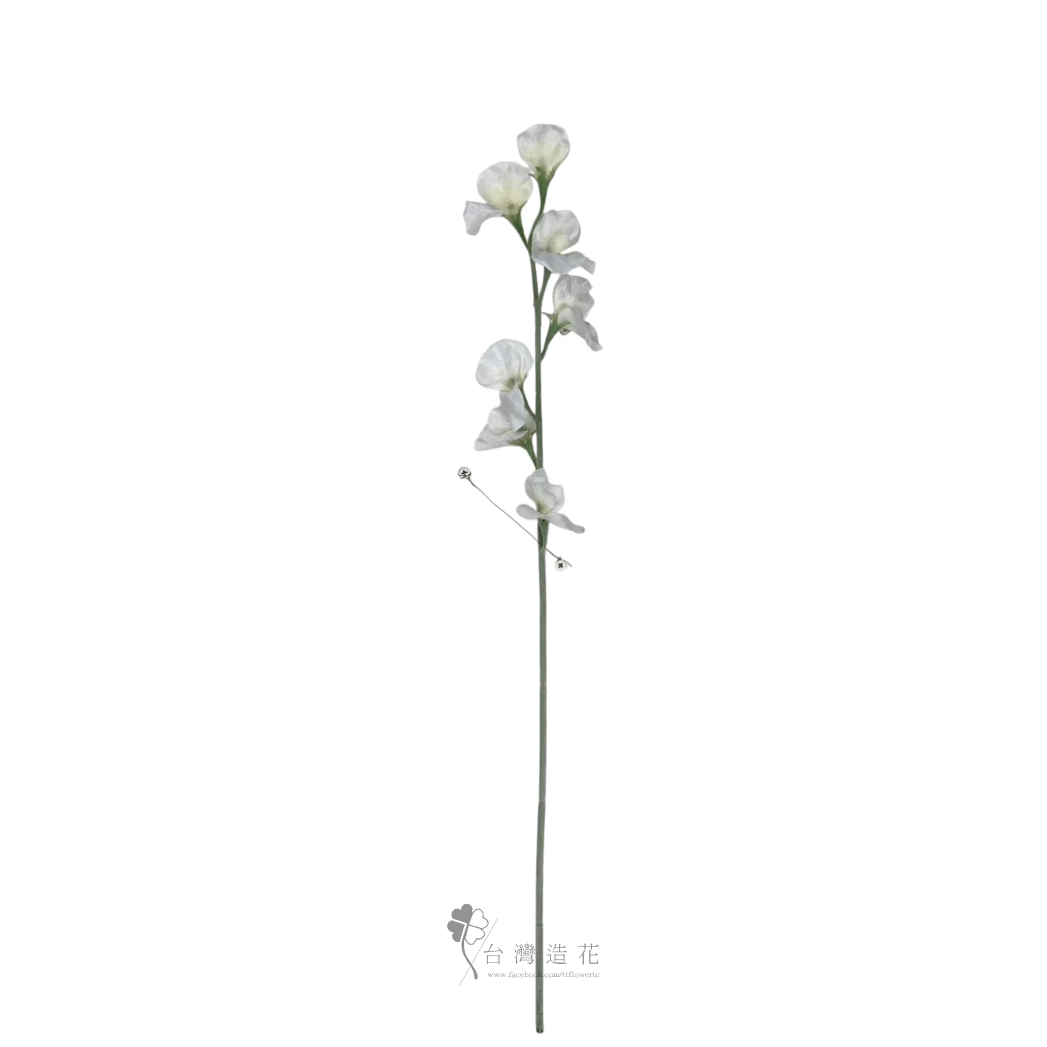 香碗豆花(米白)