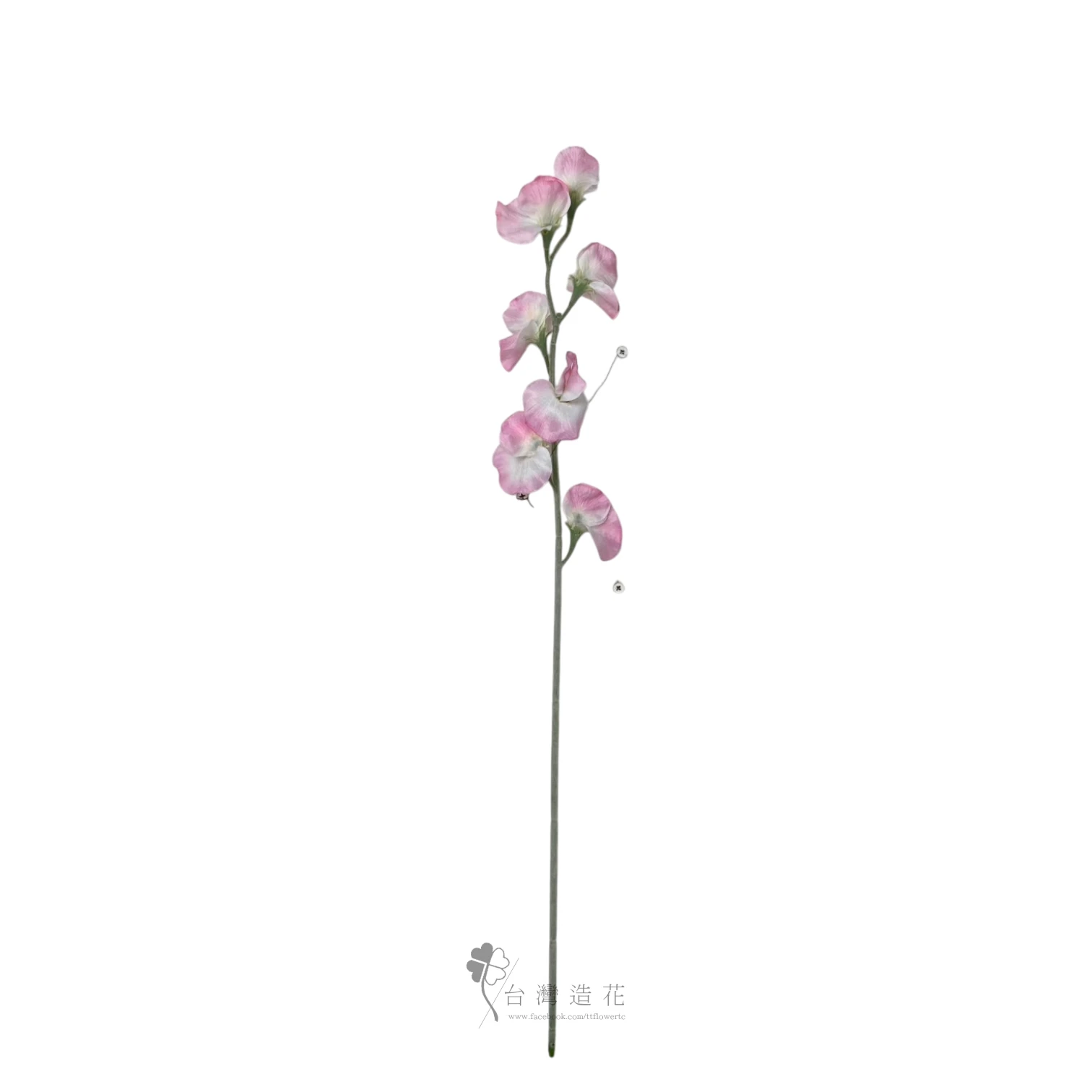 香碗豆花(深粉)