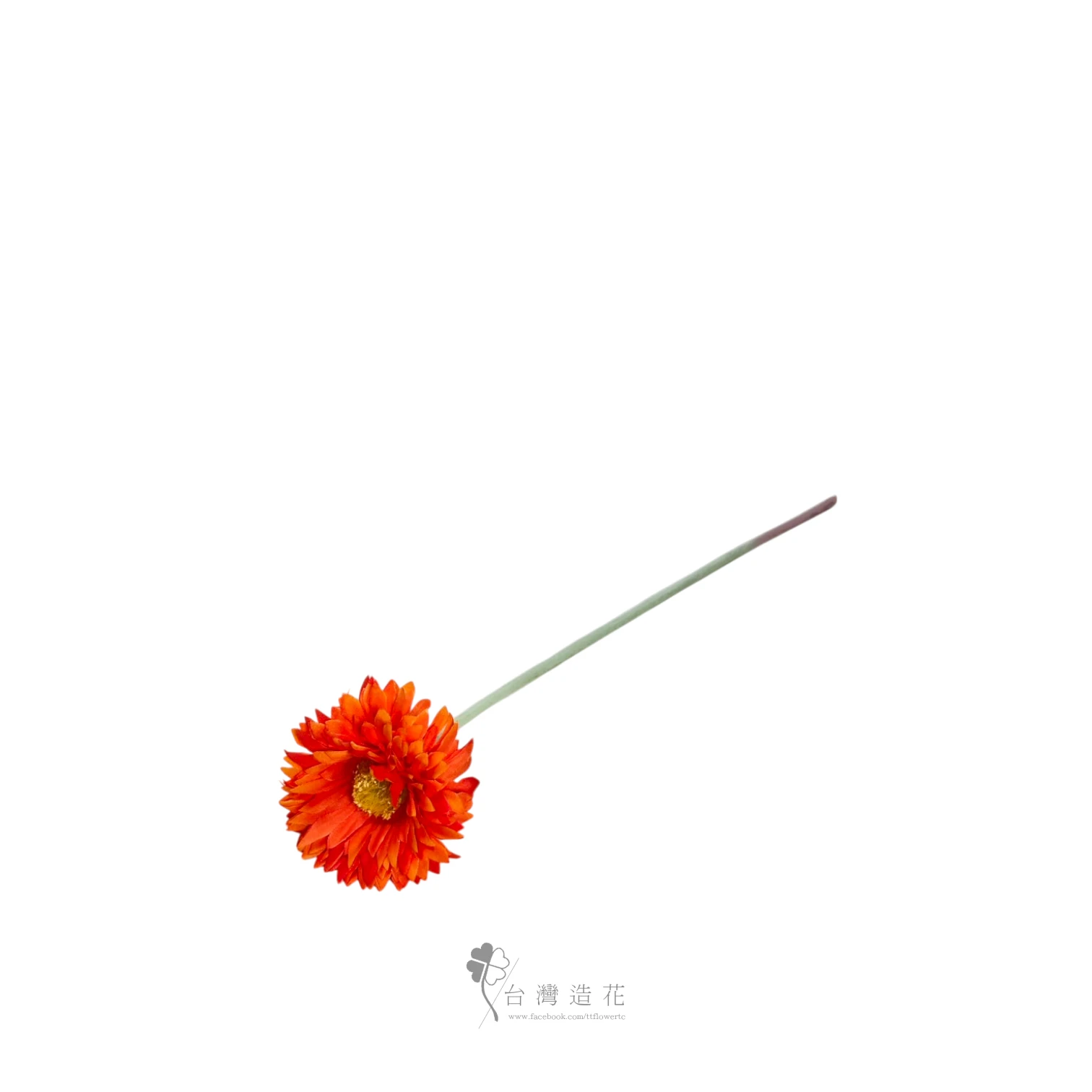 單支非洲菊(深橘)