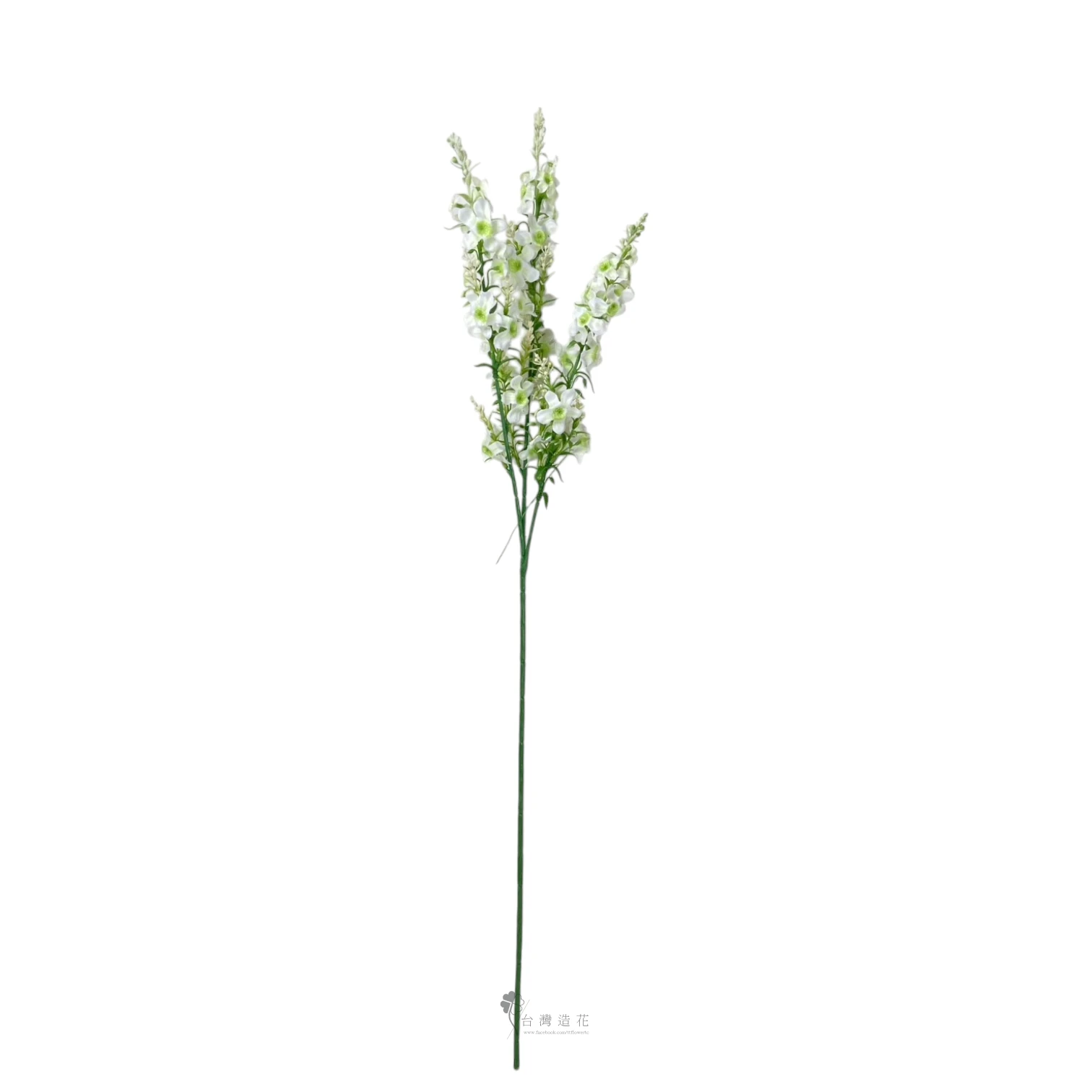 天使花(米白)