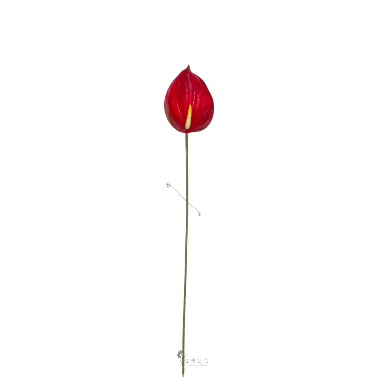 D大火鶴(紅)