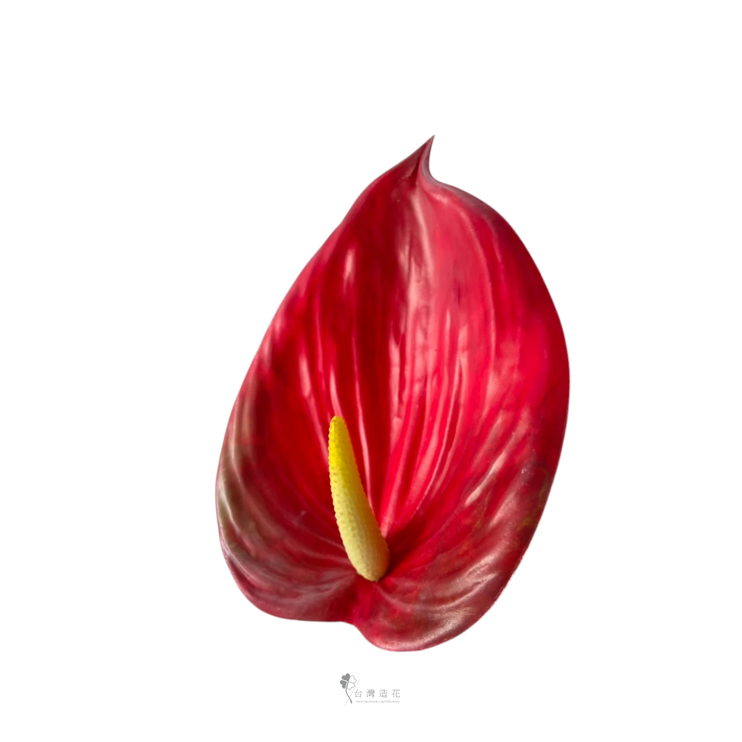 D大火鶴(紅)