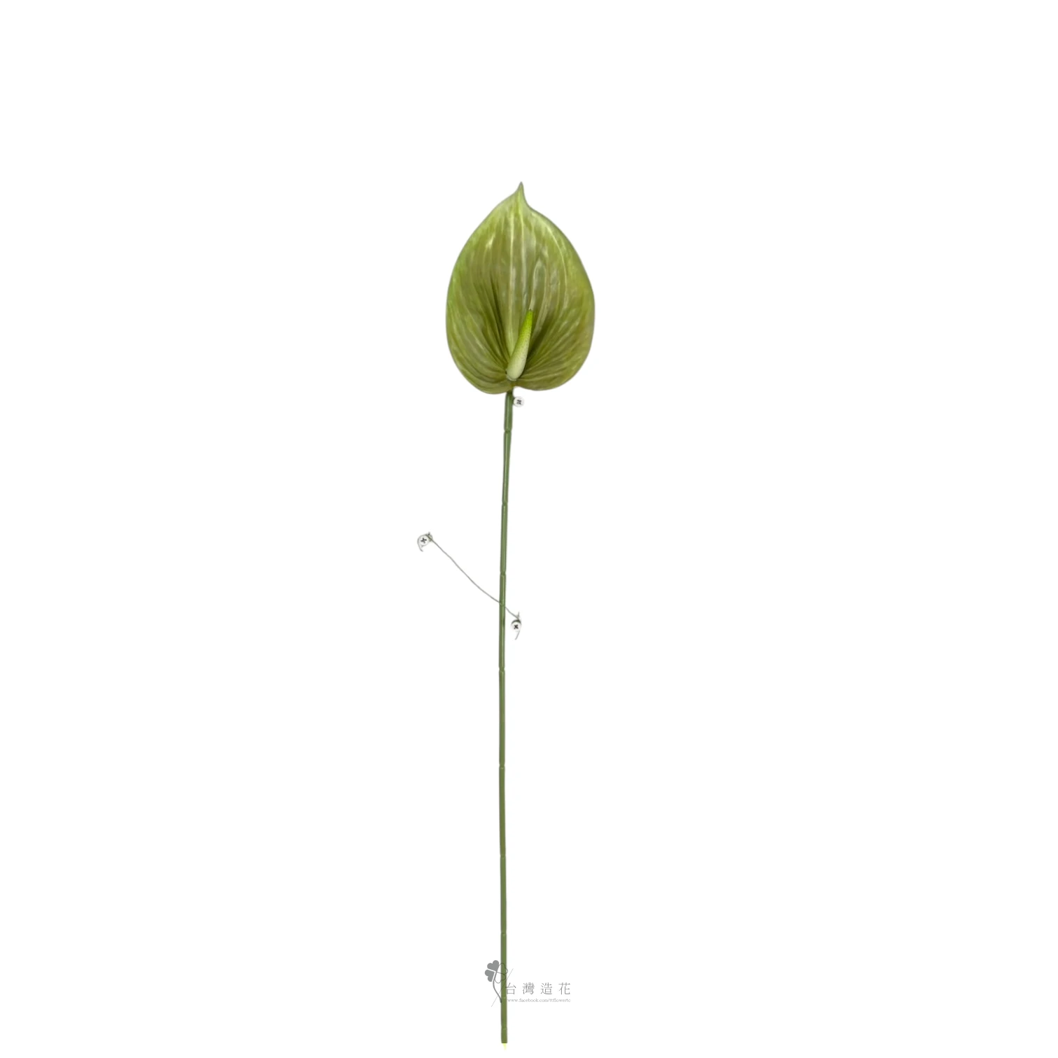 D大火鶴(綠)