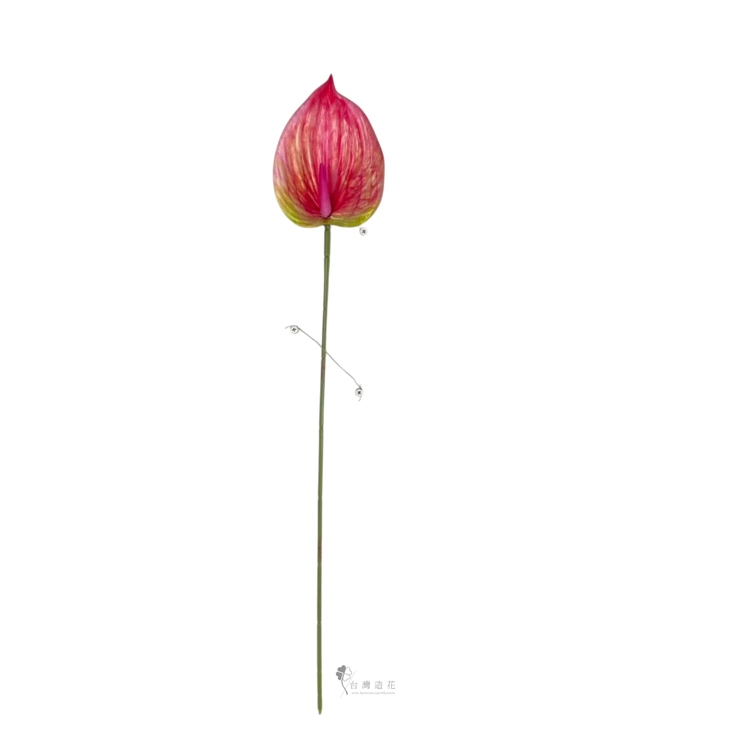 D大火鶴(深粉)