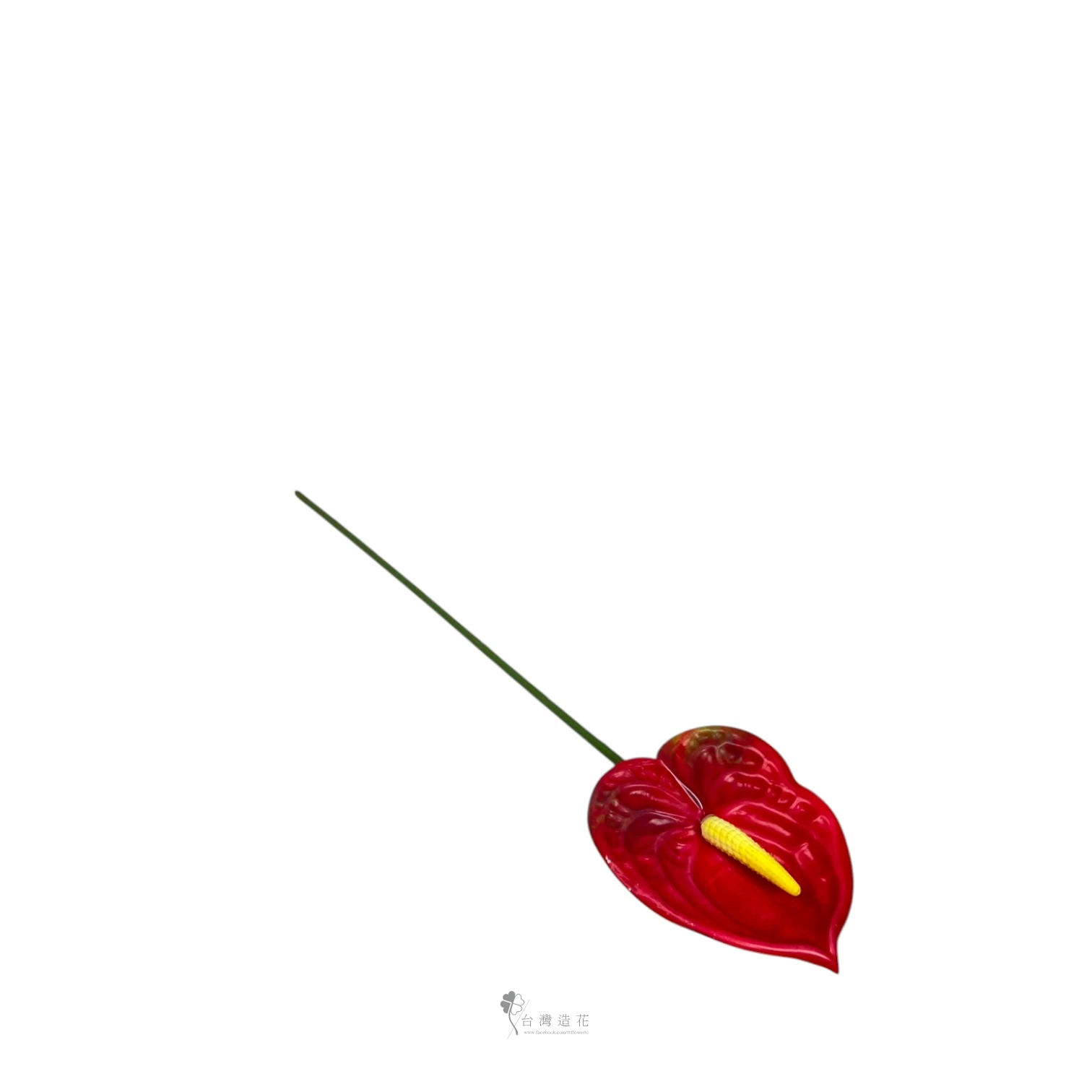 D小火鶴(紅)