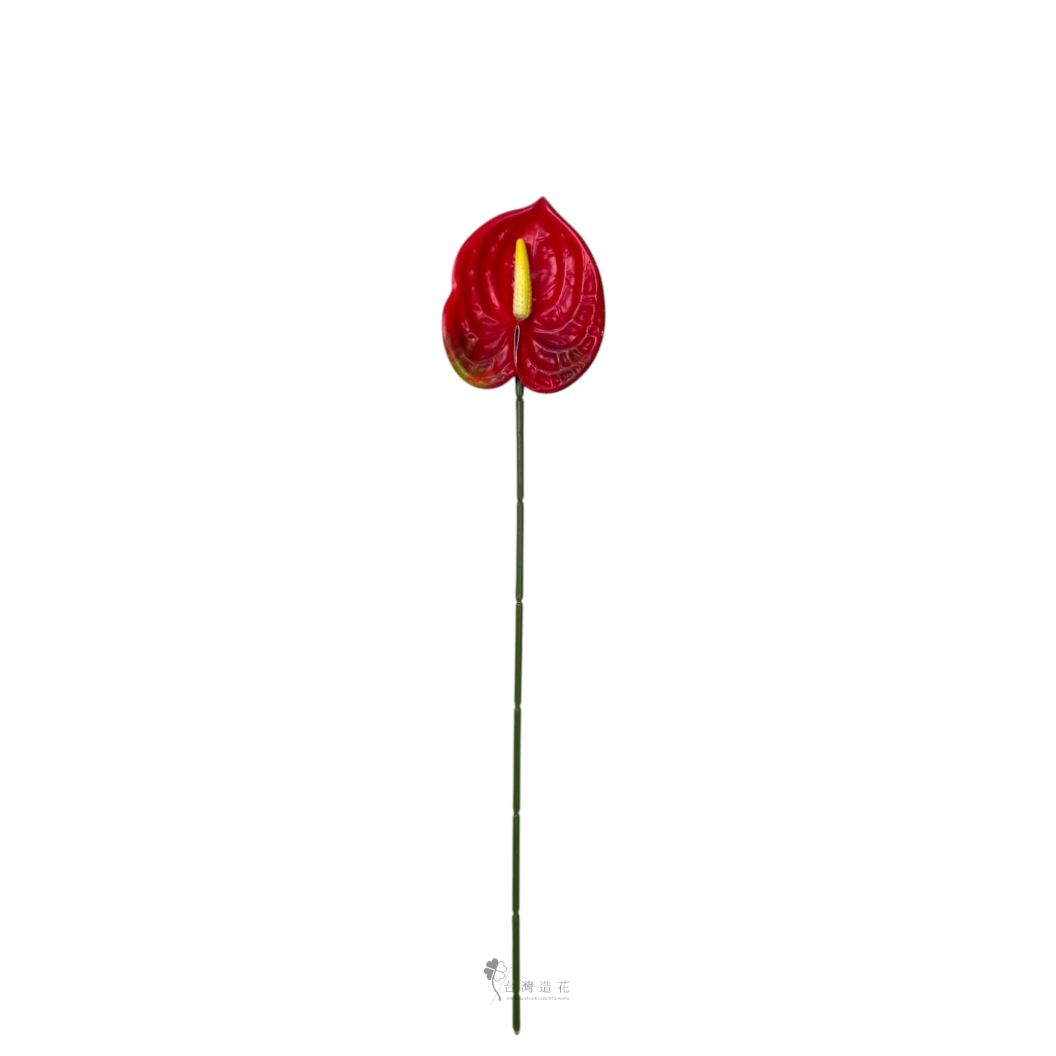D小火鶴(紅)