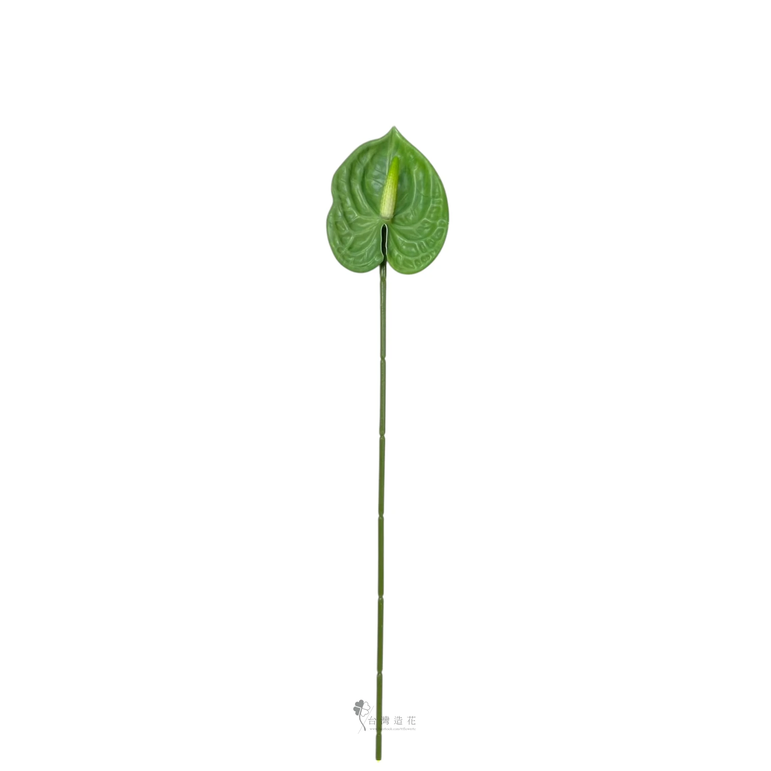 D小火鶴(綠)