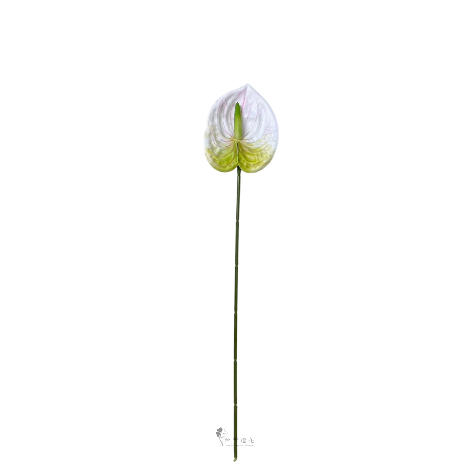 D小火鶴(米白)