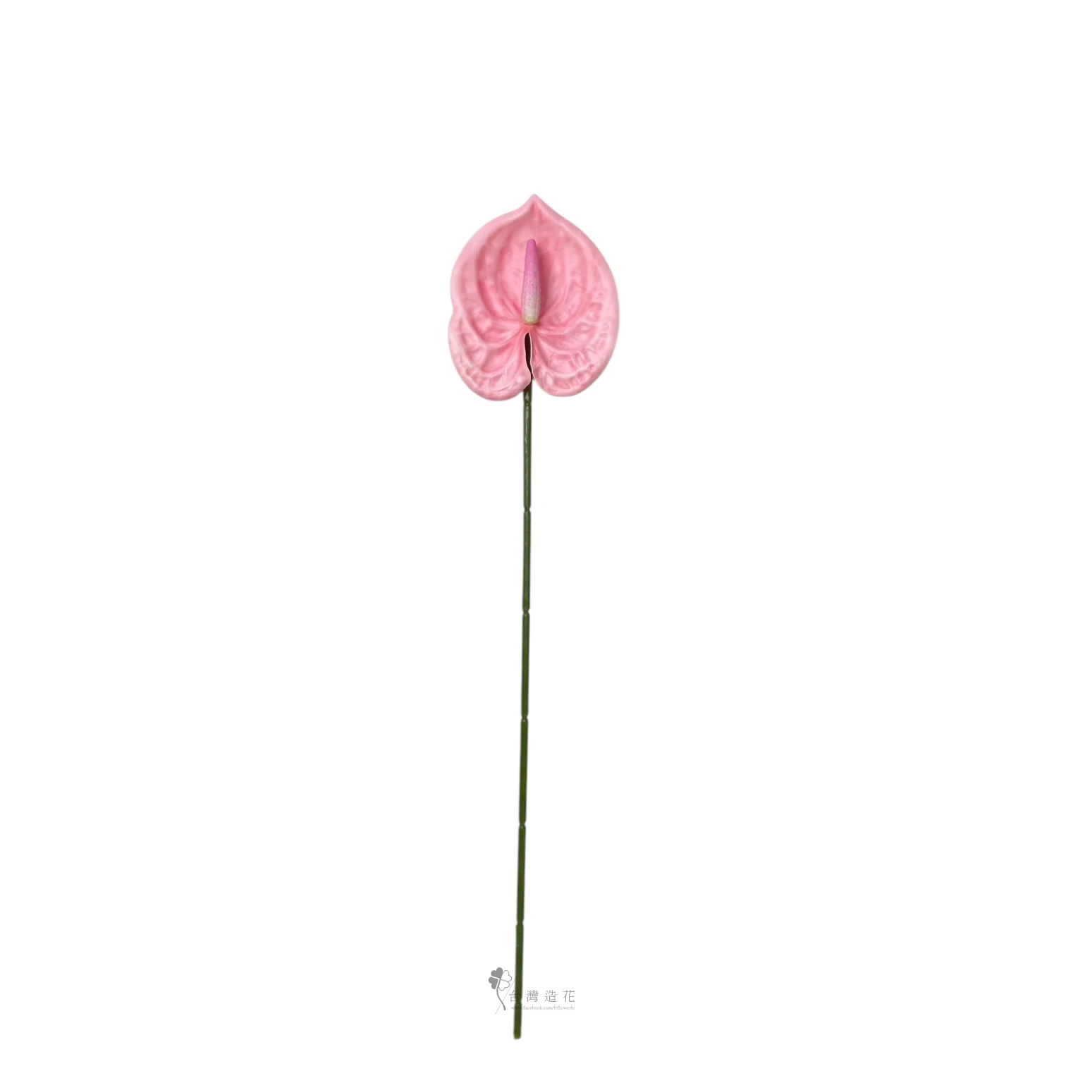 D小火鶴(淺粉)