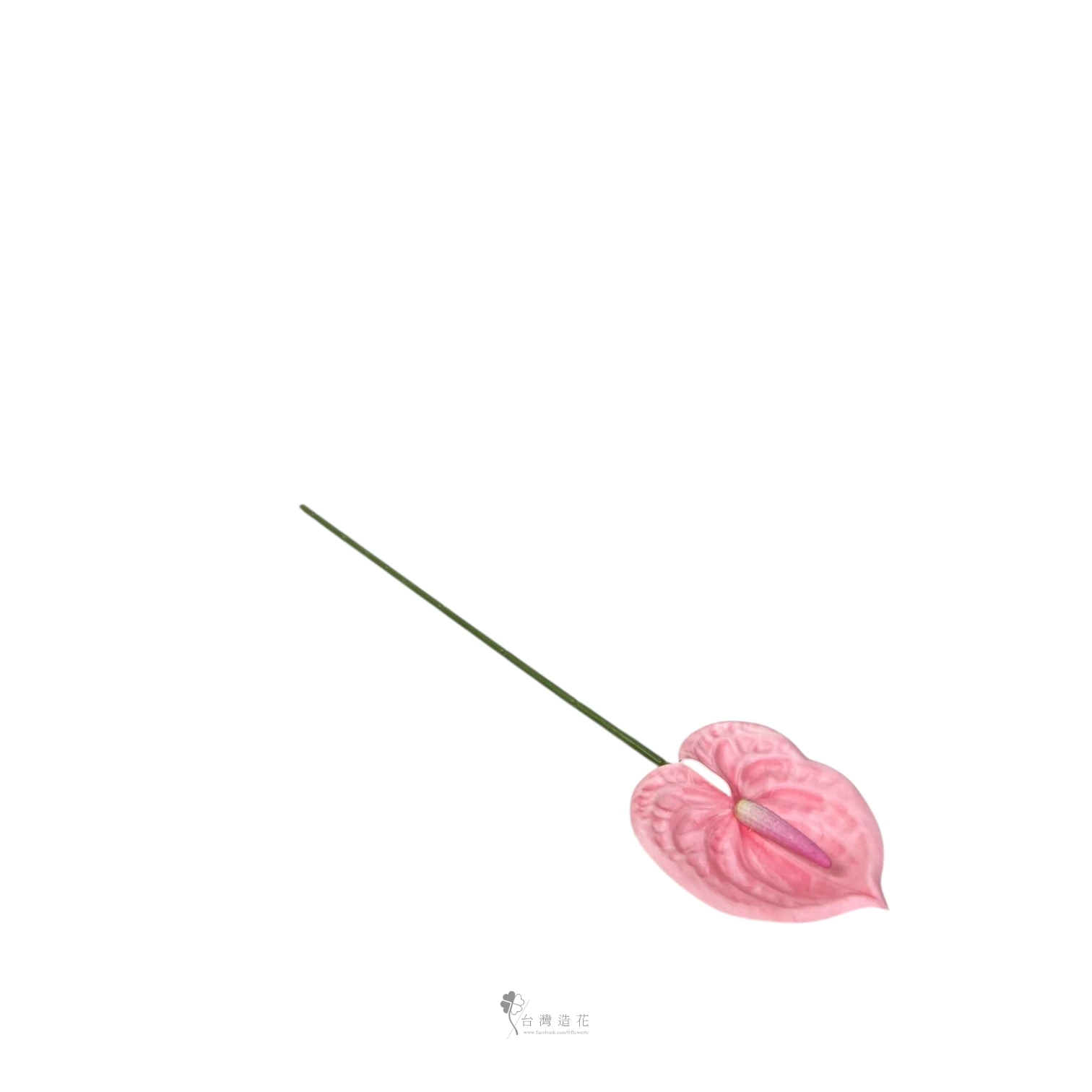 D小火鶴(淺粉)