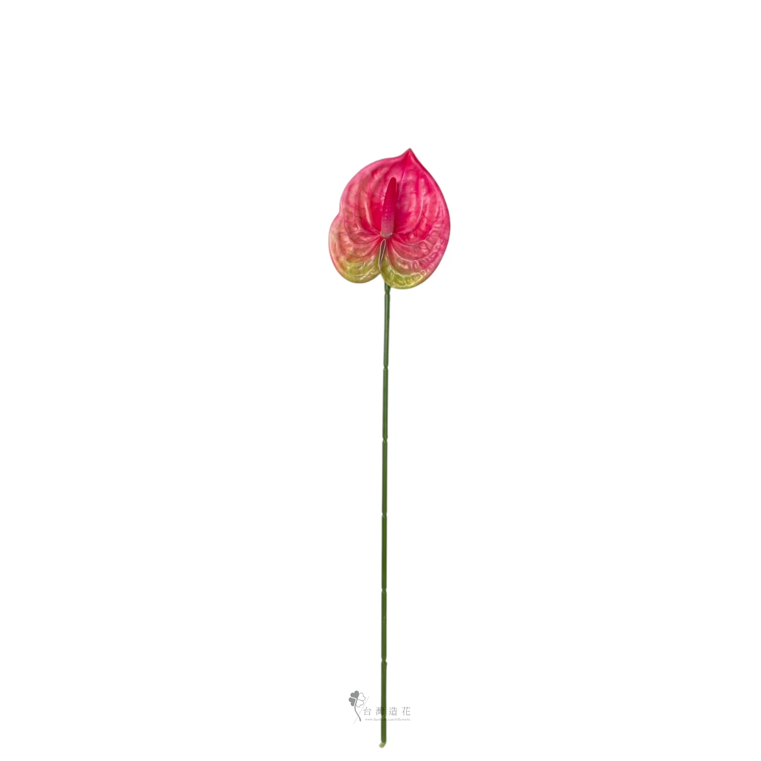 D小火鶴(深粉)