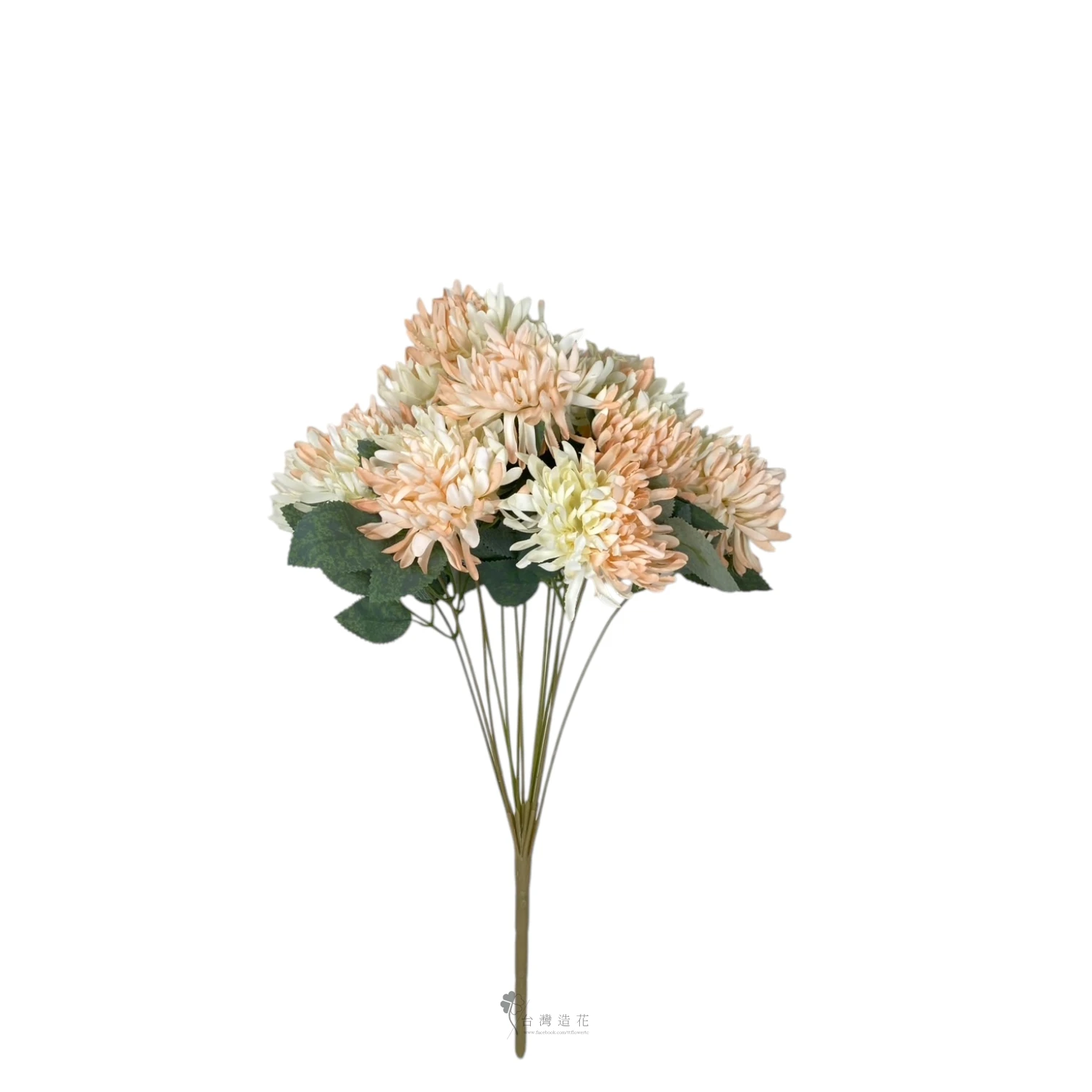 金絲菊花束(香檳)