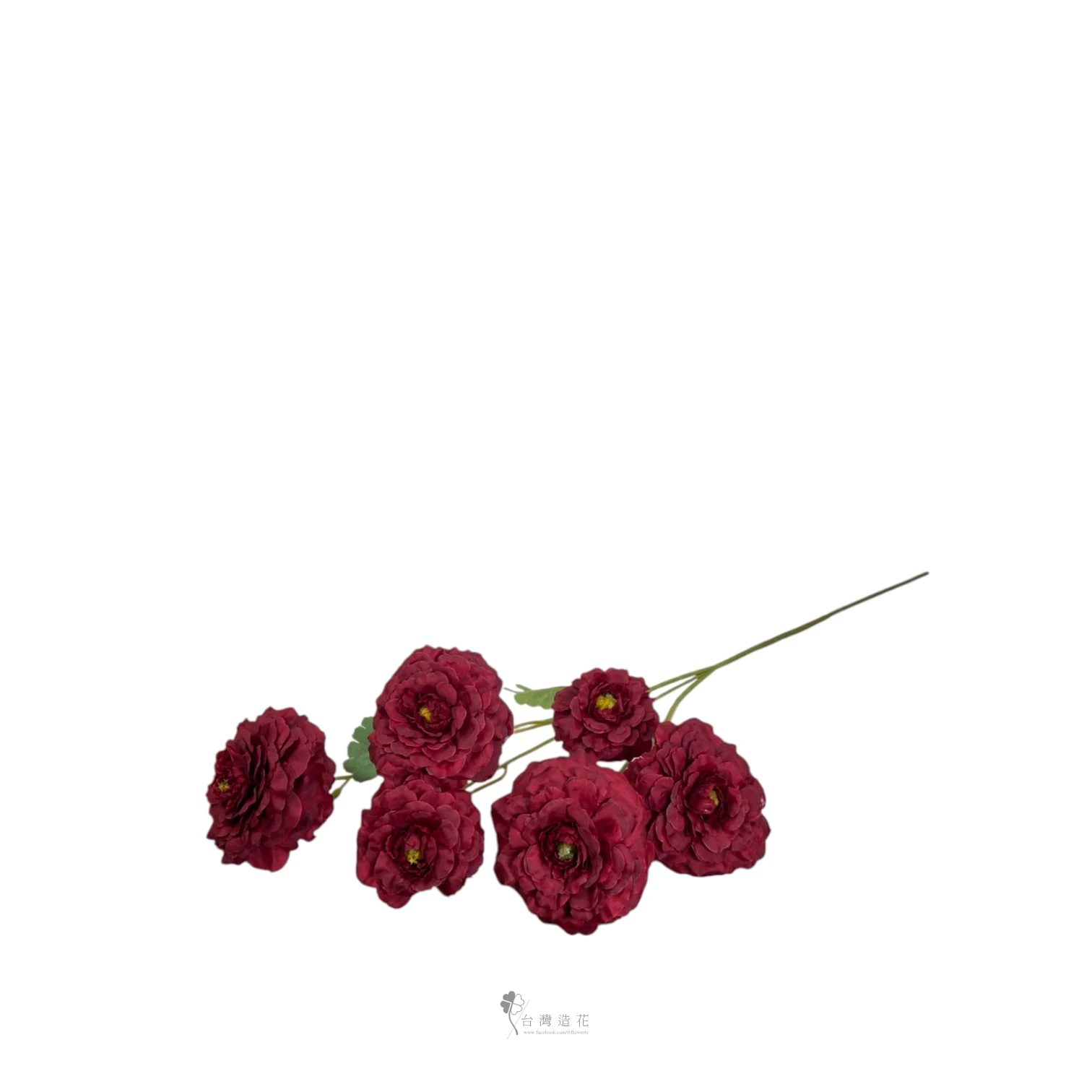 洋陸蓮(紅)