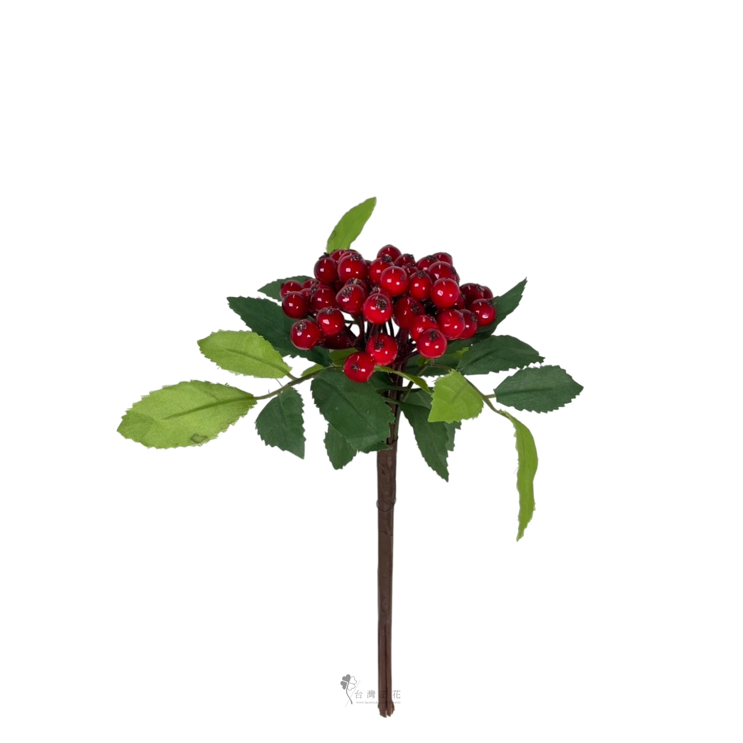 南天竹果(紅)