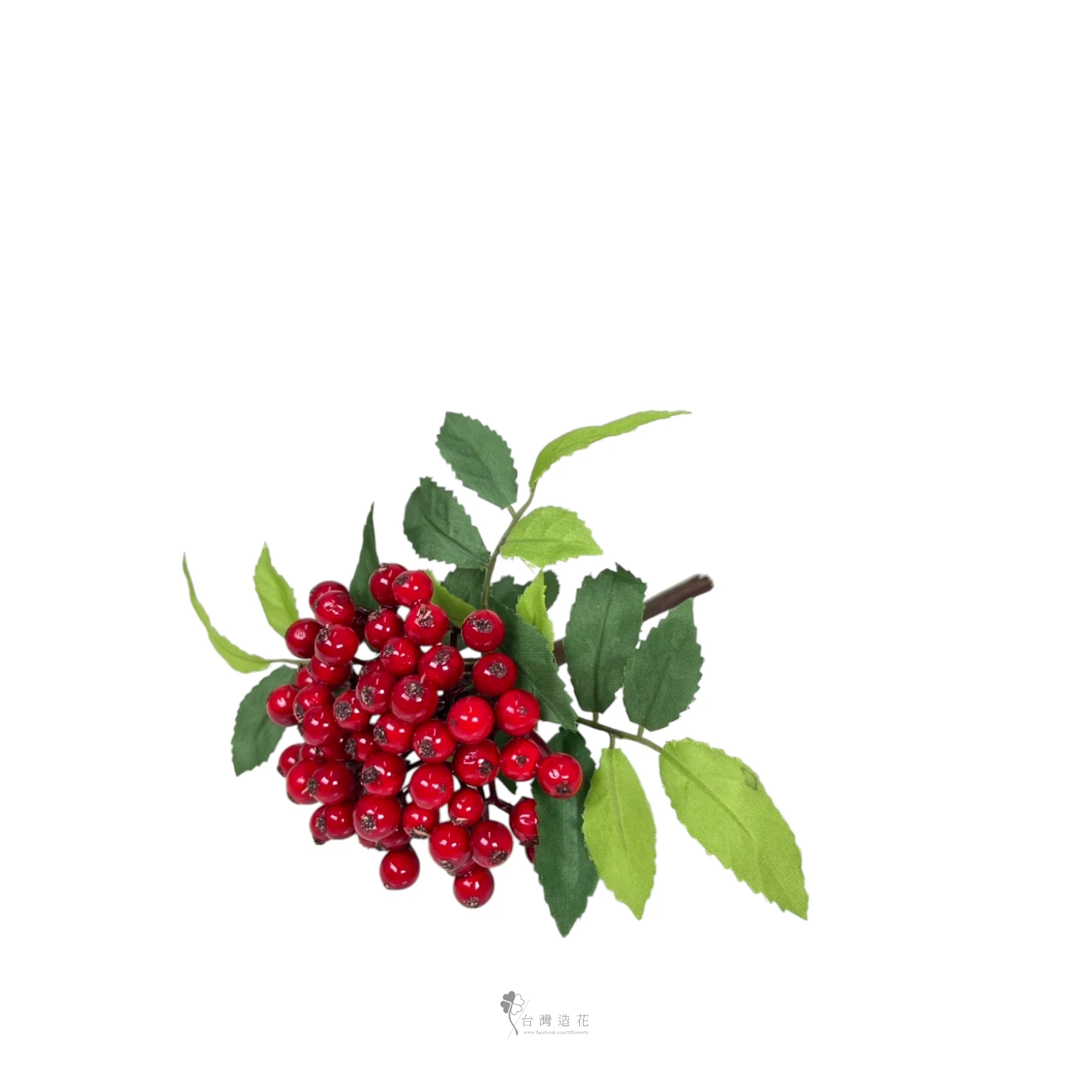 南天竹果(紅)