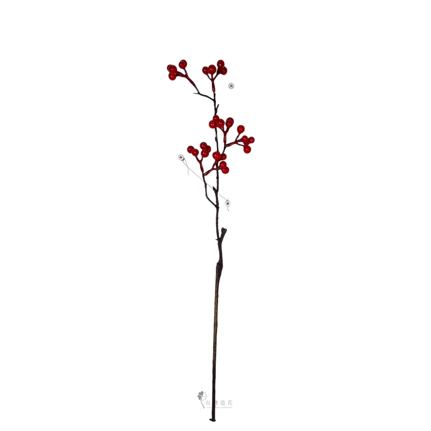 小漿果(紅)