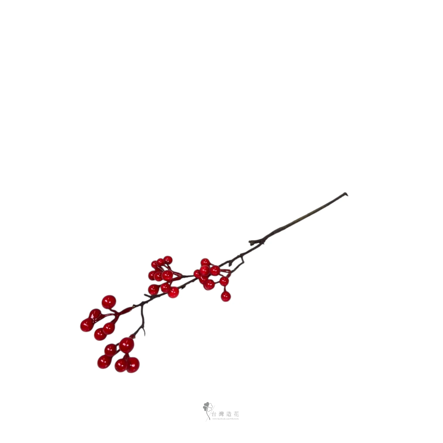 小漿果(紅)