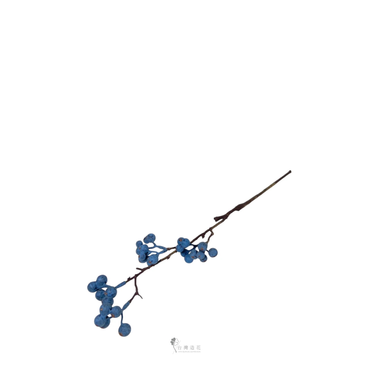 小漿果(藍)