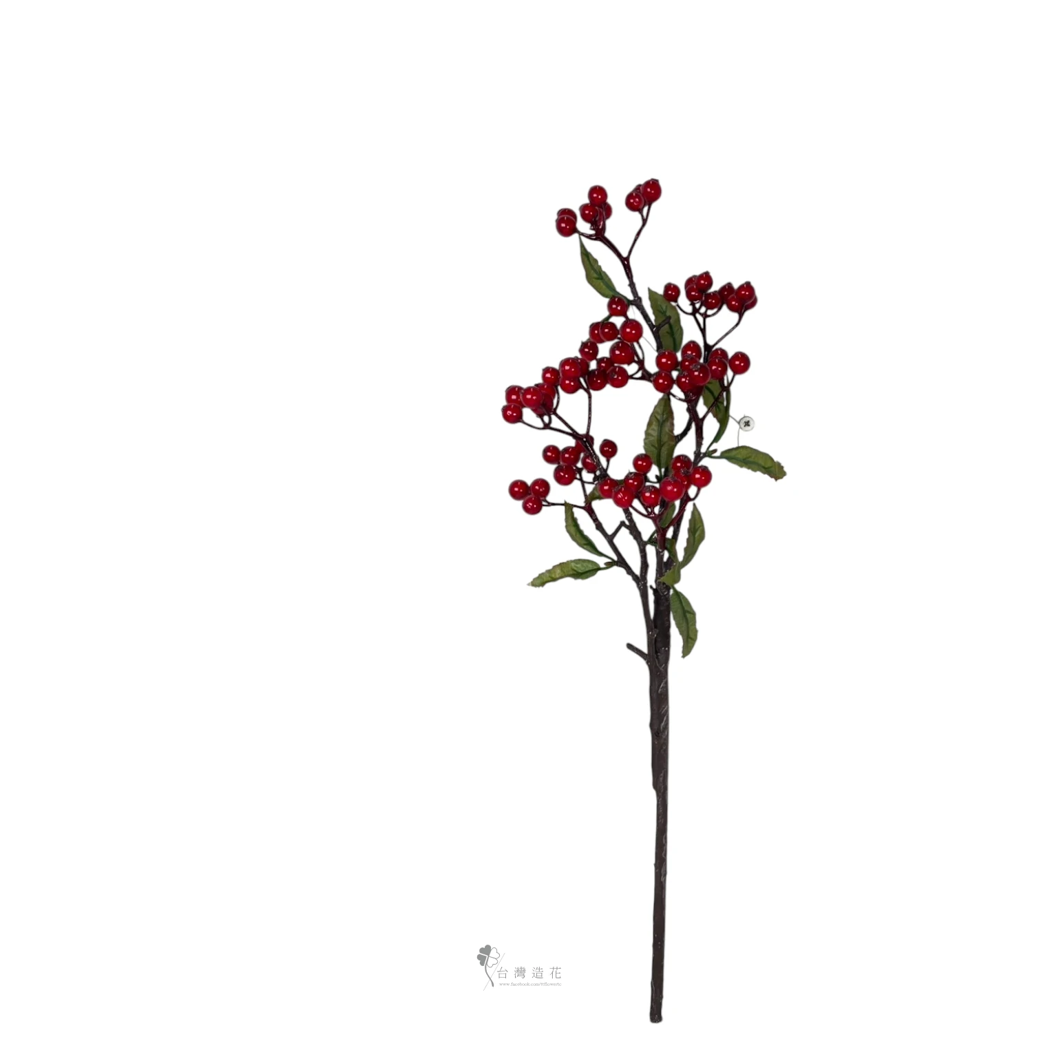 小漿果+葉(紅)