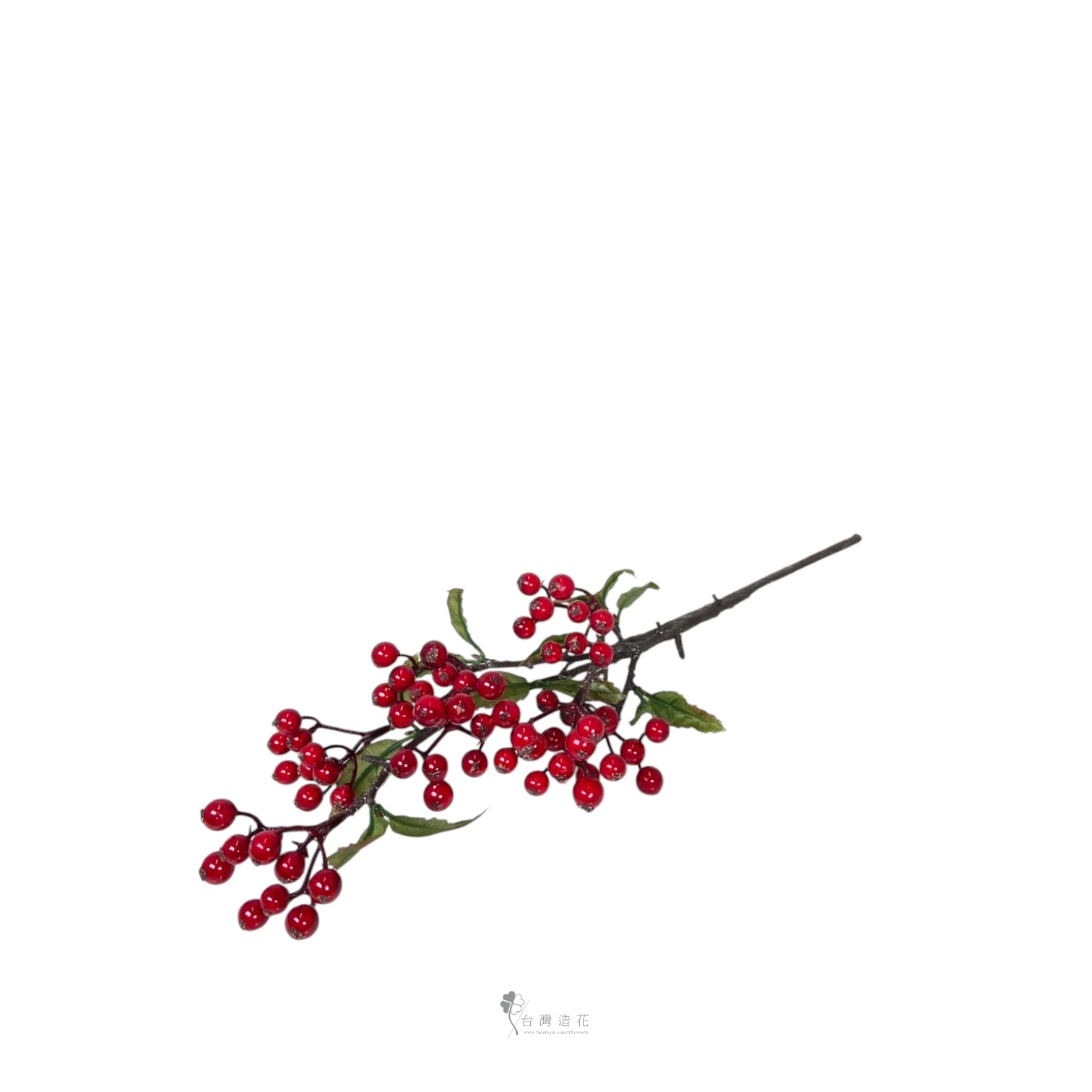 小漿果+葉(紅)
