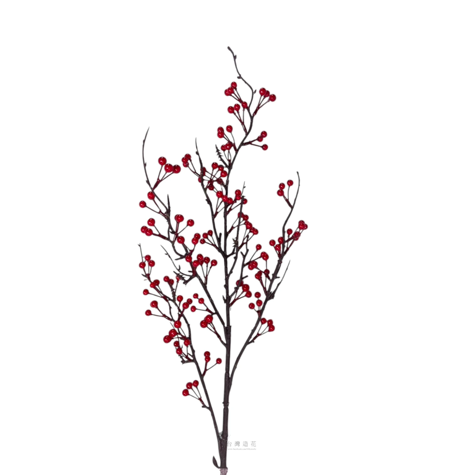 A山歸來(紅)